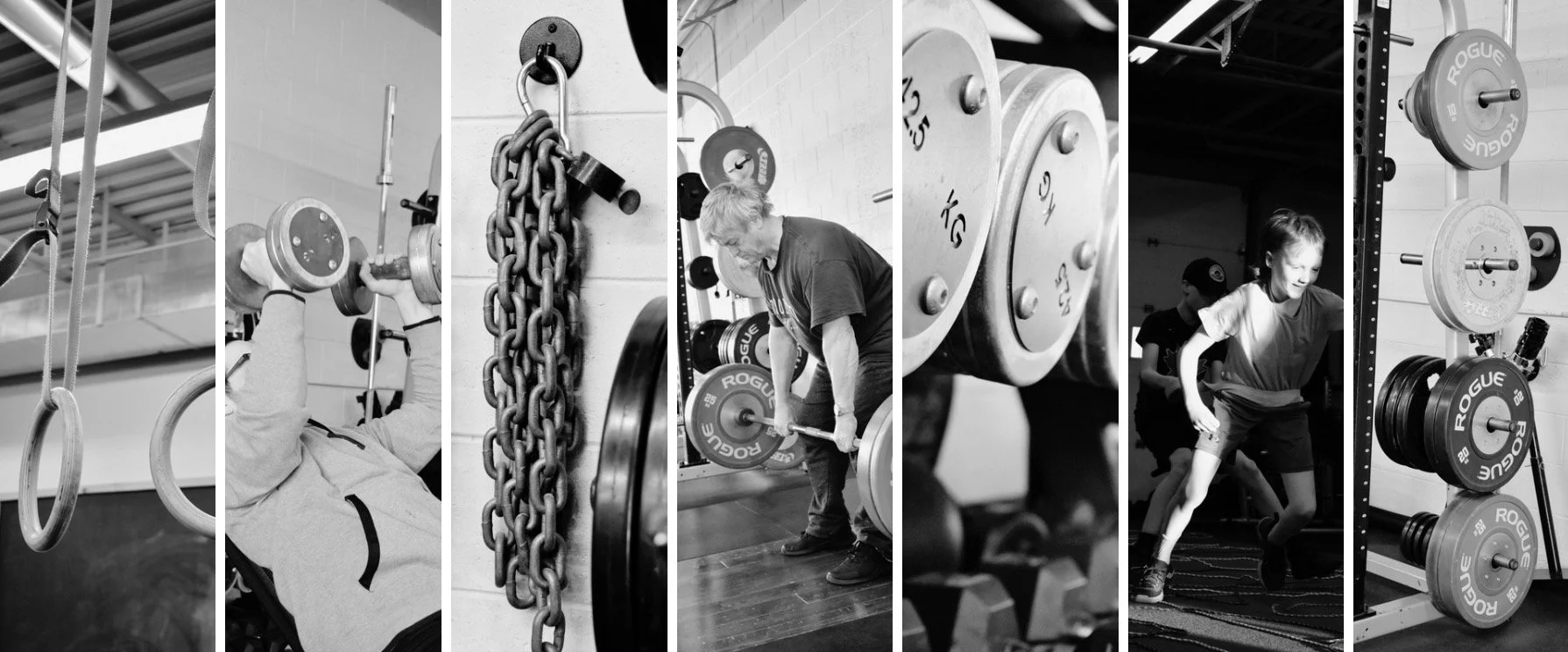 THEHEALTHYGYM_FBCOVER.jpeg