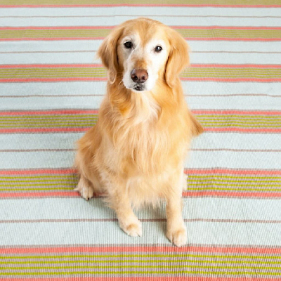 Josie cotton rug