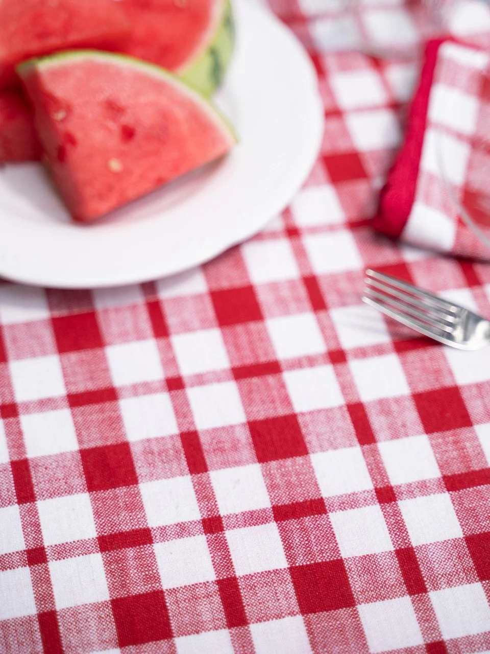 TPWWATRNDY-RedNatural-April-Cornell-Tablecloth_2__65584.jpg