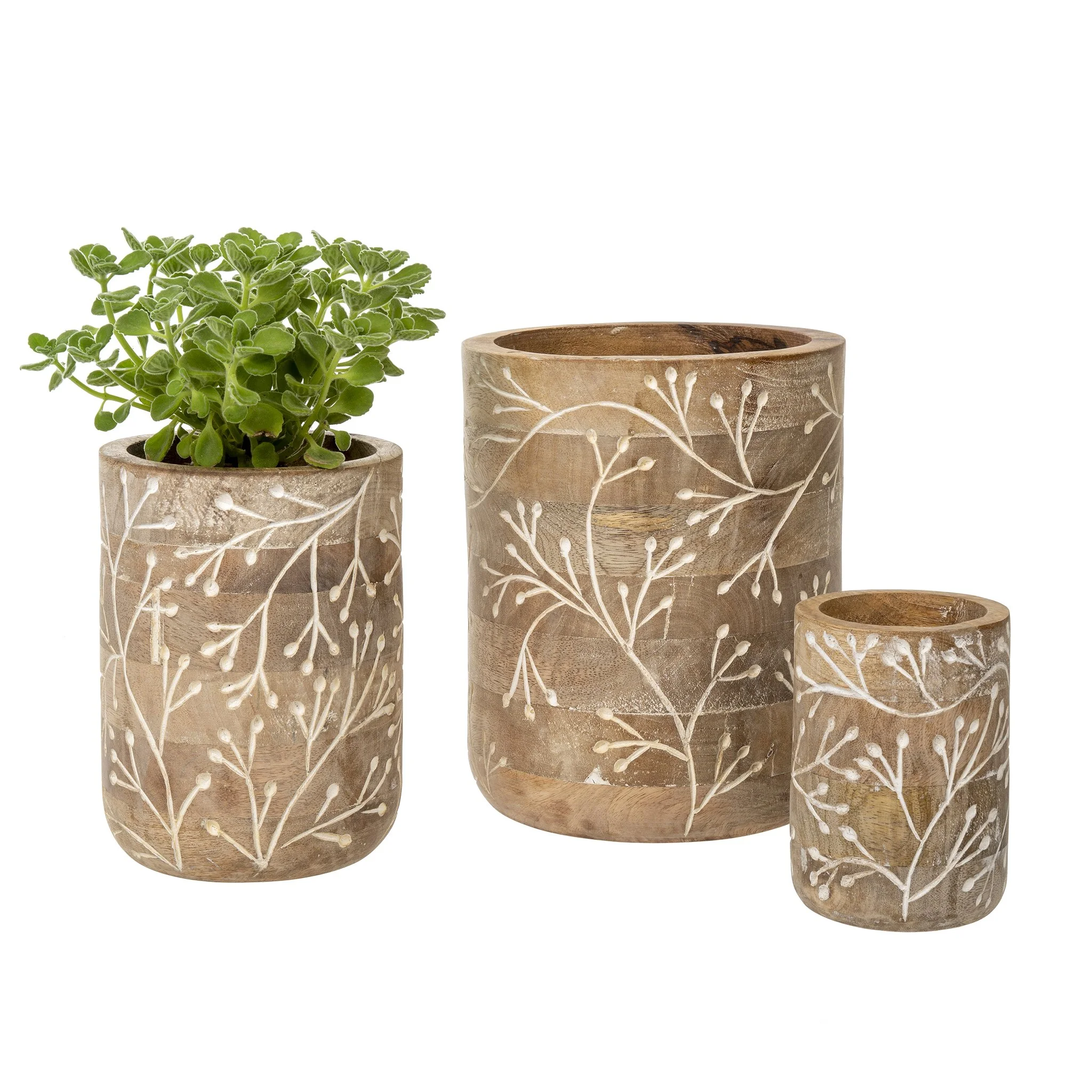 Indaba planter wildflower 1.jpg