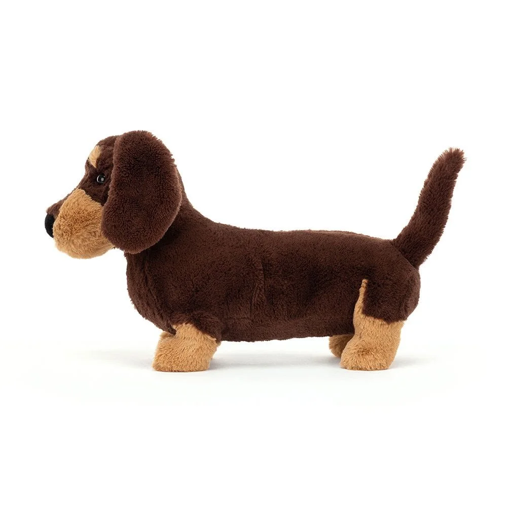 Jelly otto sausage dog 2.jpg