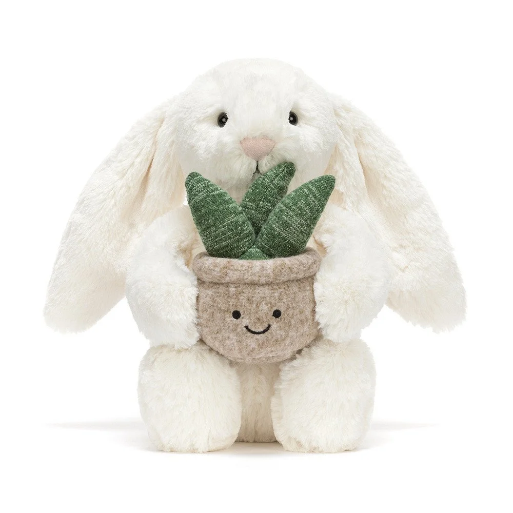 Jelly bashful bunny plant 4.jpg