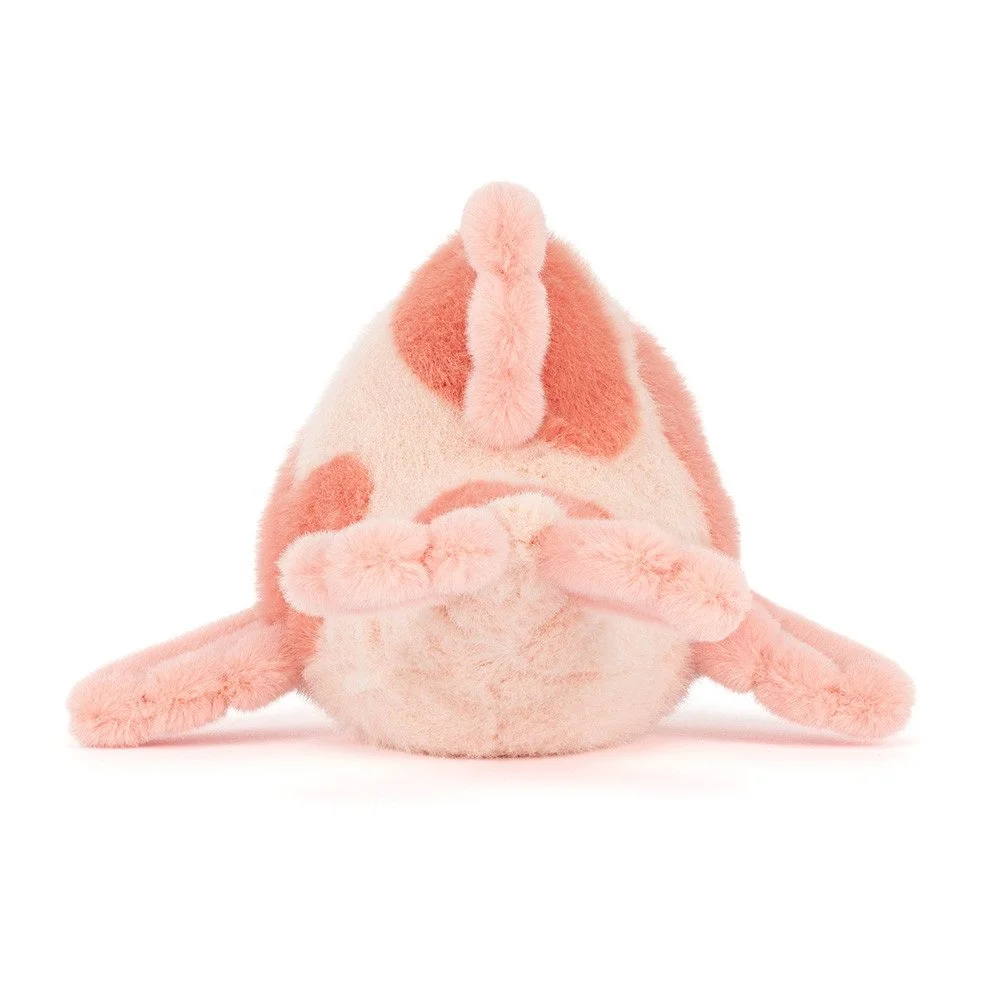 Jelly fancy carp 3.jpg