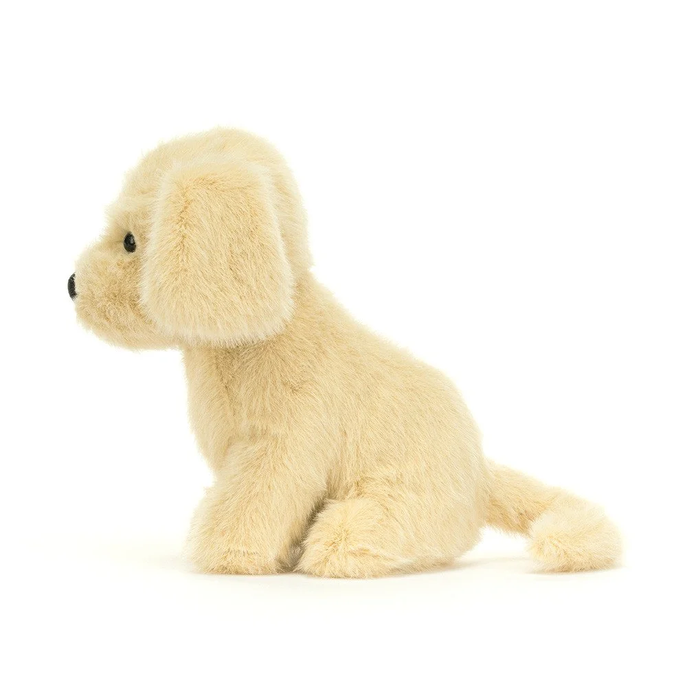 Jelly golden puppy 2.jpg