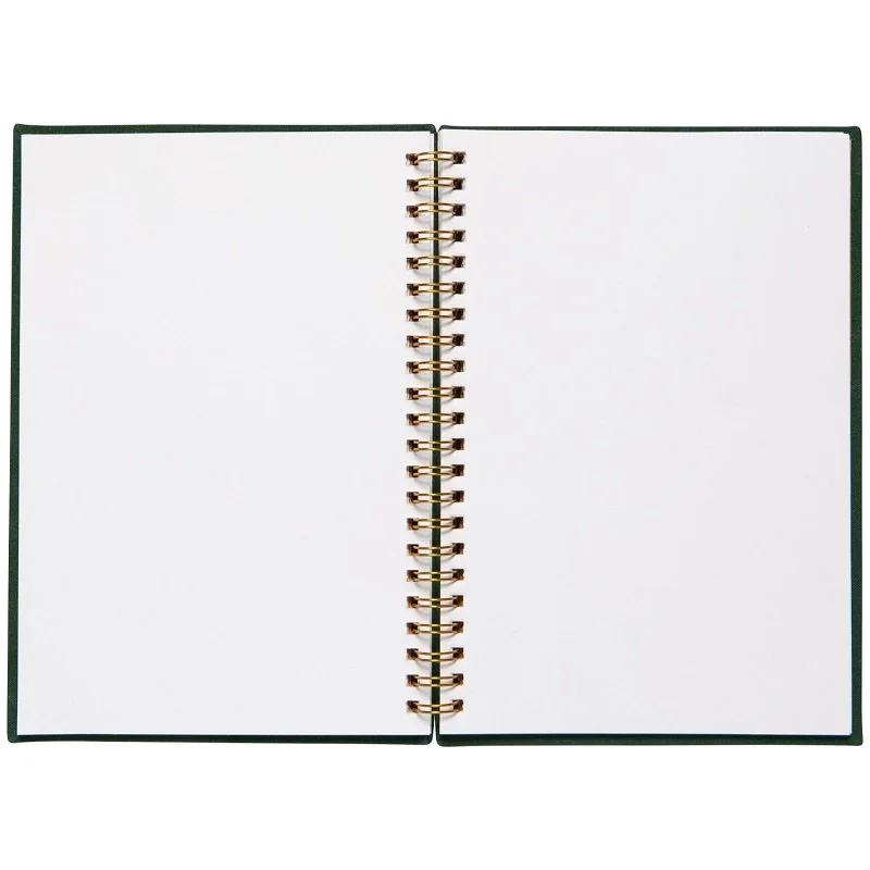 Dan notebook wildgrove 2.jpg