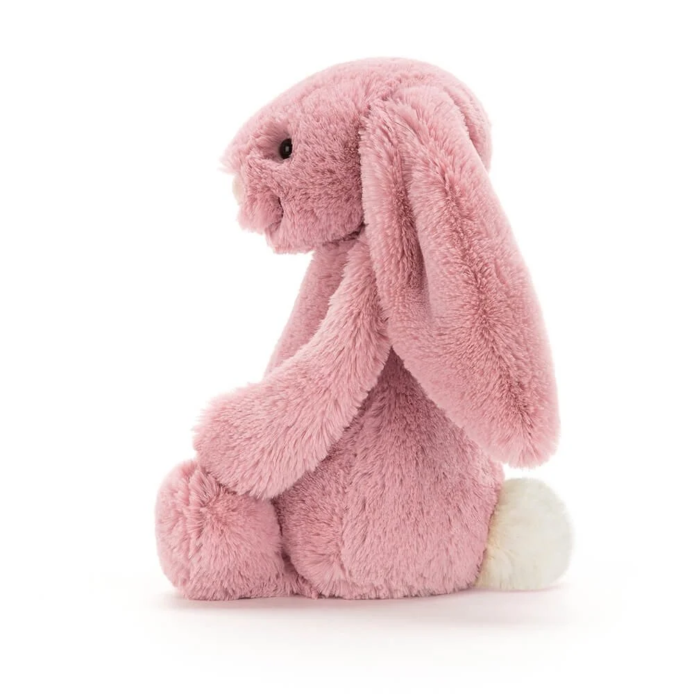 Jelly bashful bunny tulip 2.jpg