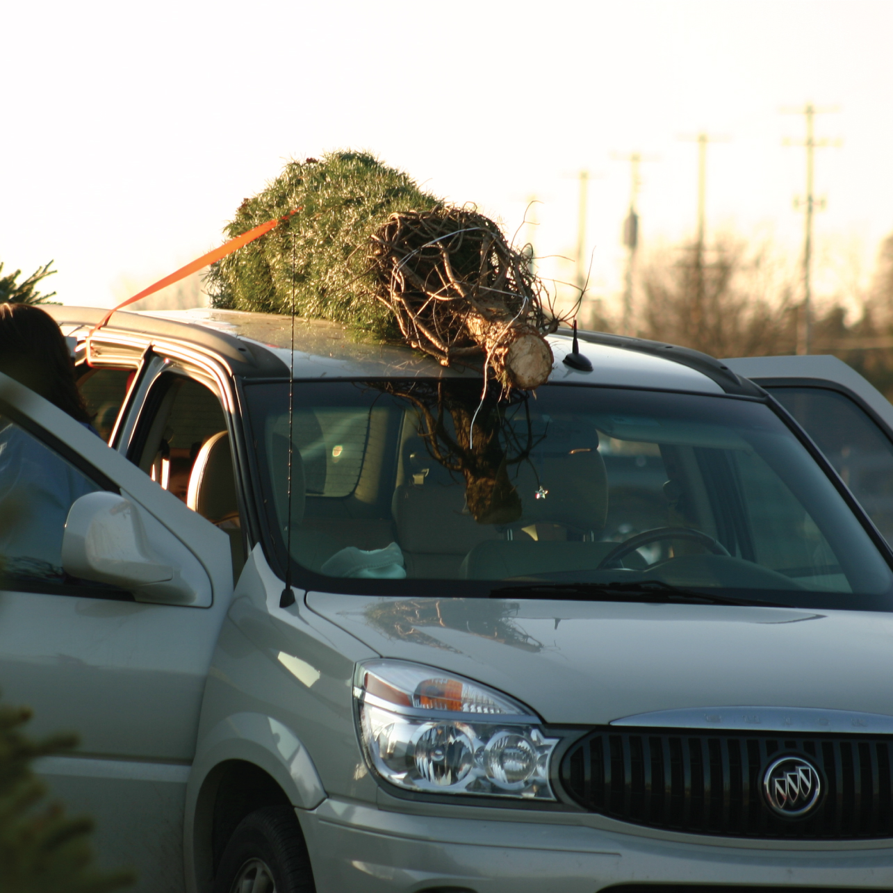 TAN001_WEBSITE_ELEMENTS_TRANSPORTATION.jpg