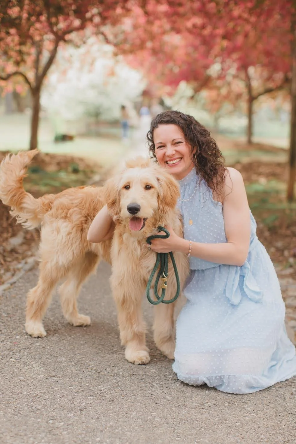 Our Golden Doodle Benny! 6 months of owning a puppy 
