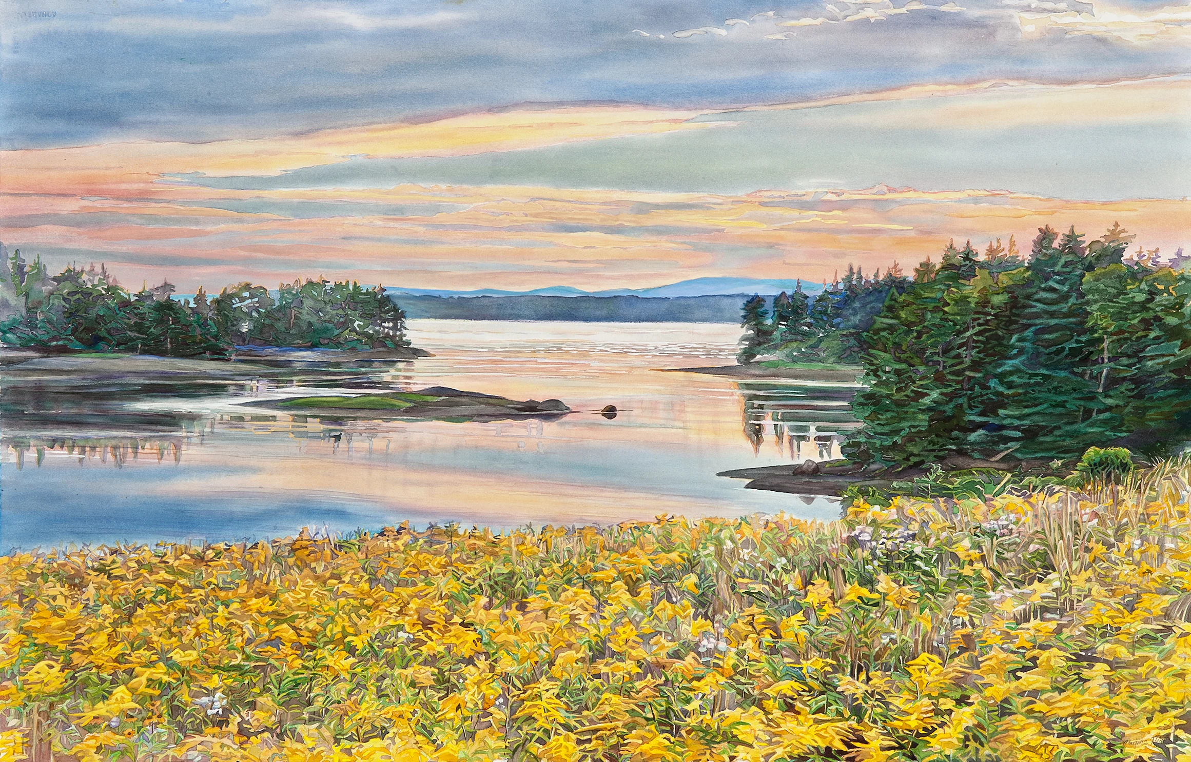 goldenrod, sunset,maine.jpg