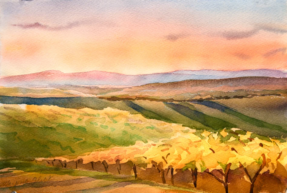 Golden Light, Tuscany, Watercolor, 8"x11",©Marjorie Glick