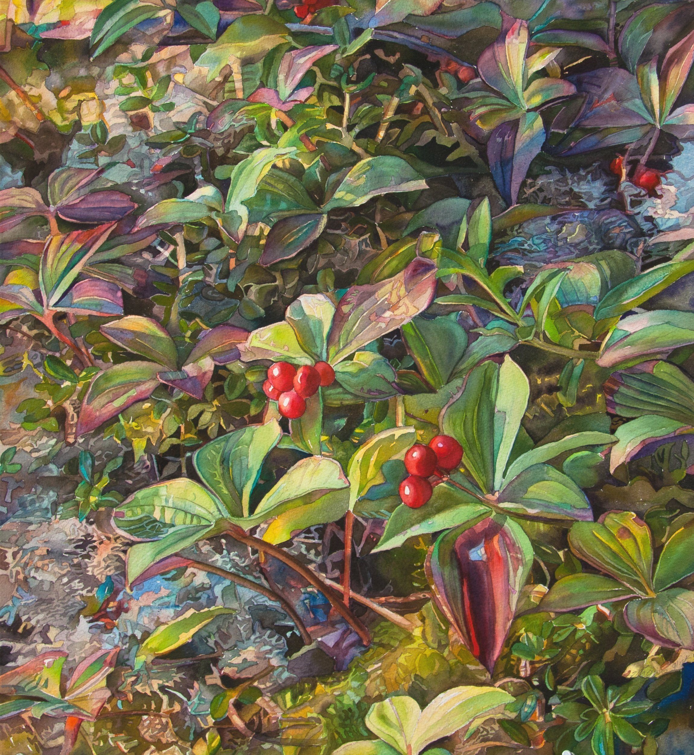 Forest Jewels