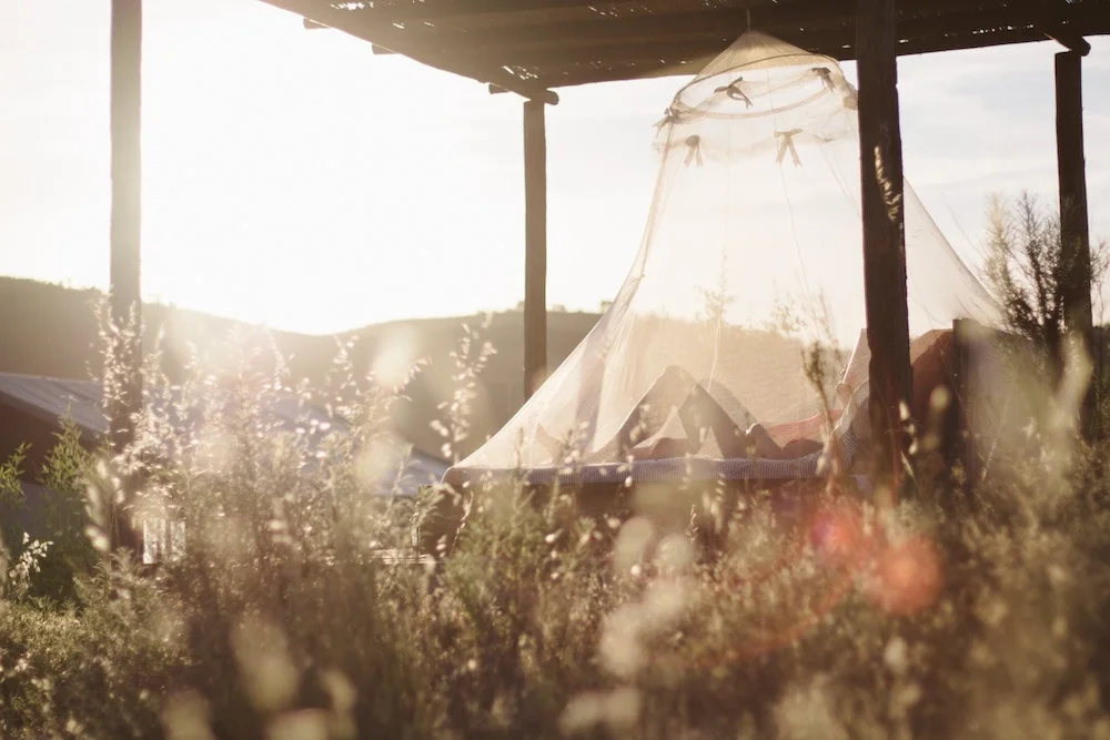 5+ways+to+keep+mosquitos+away+this+summer.jpg