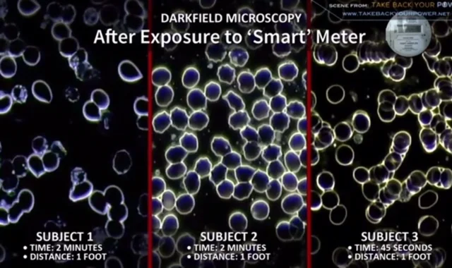 EMF after photo.jpg