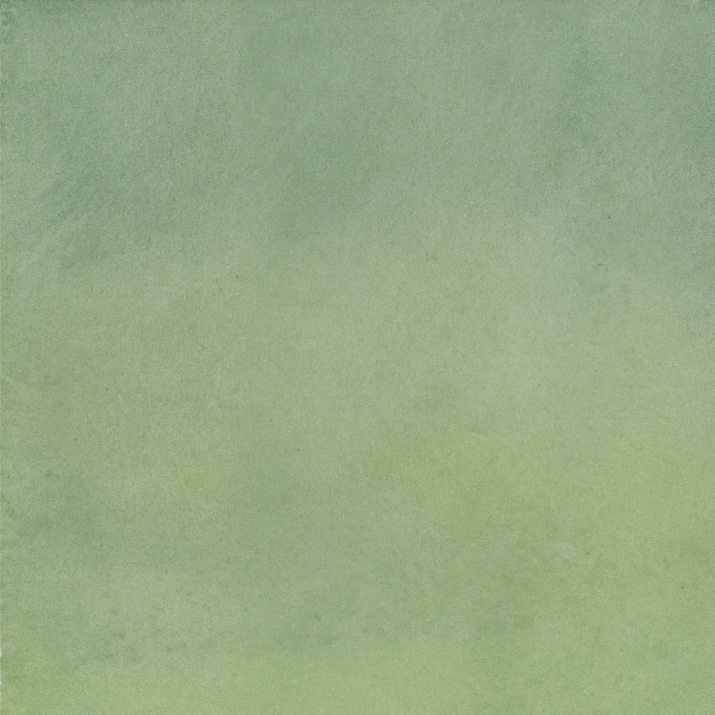 bg13_green.jpg