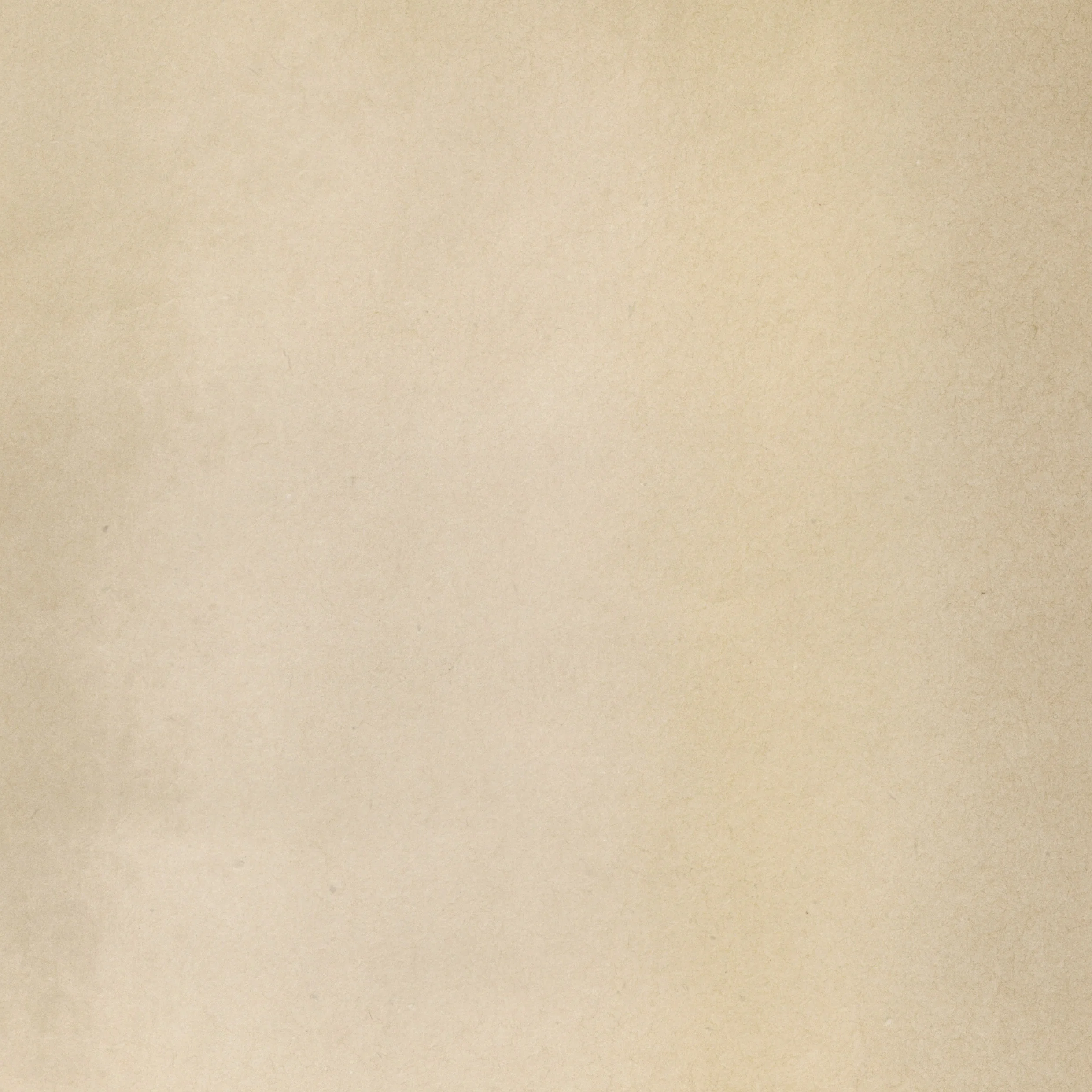 bg_10_cream.jpg