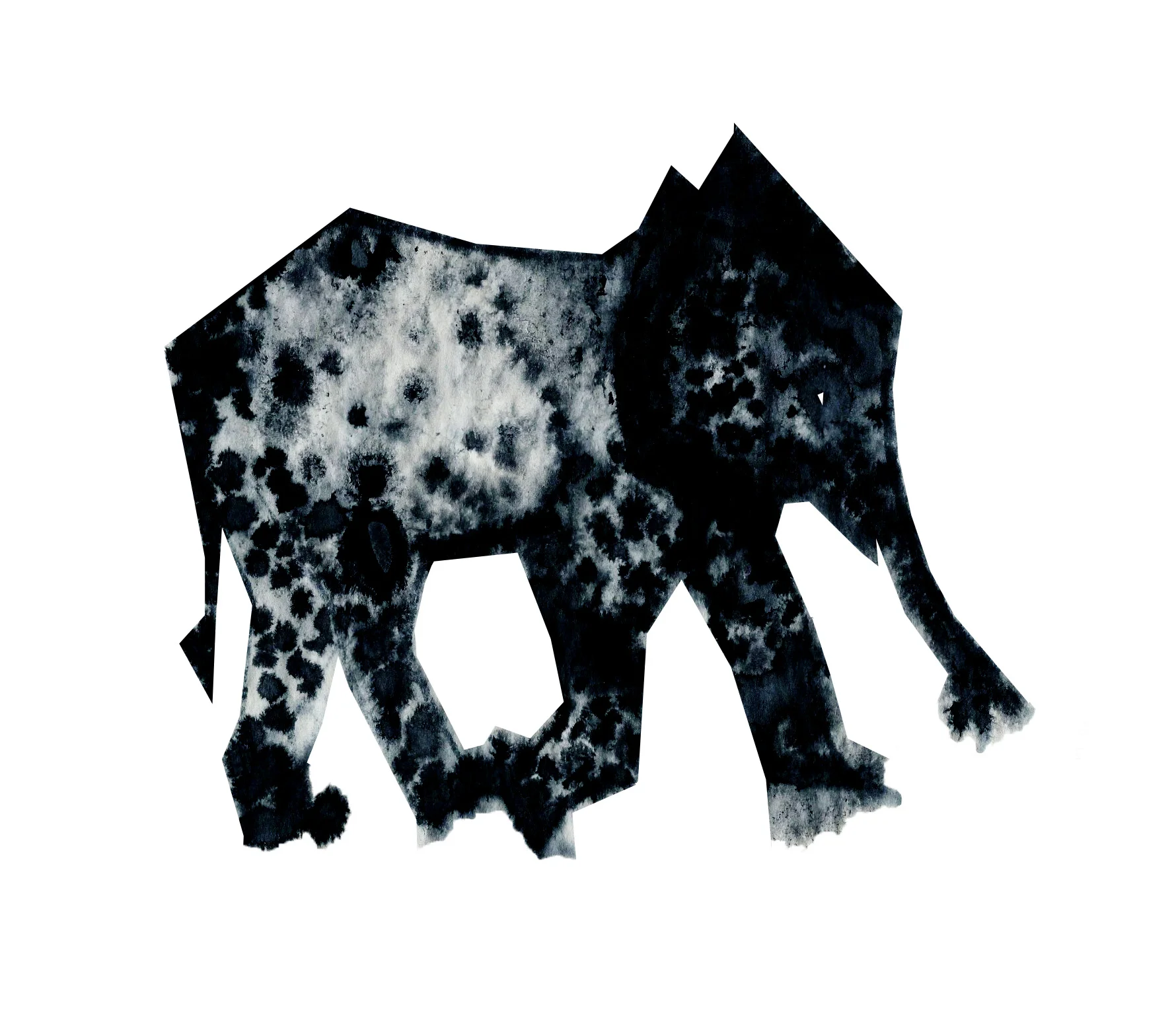 olifantinstorm-website.jpg