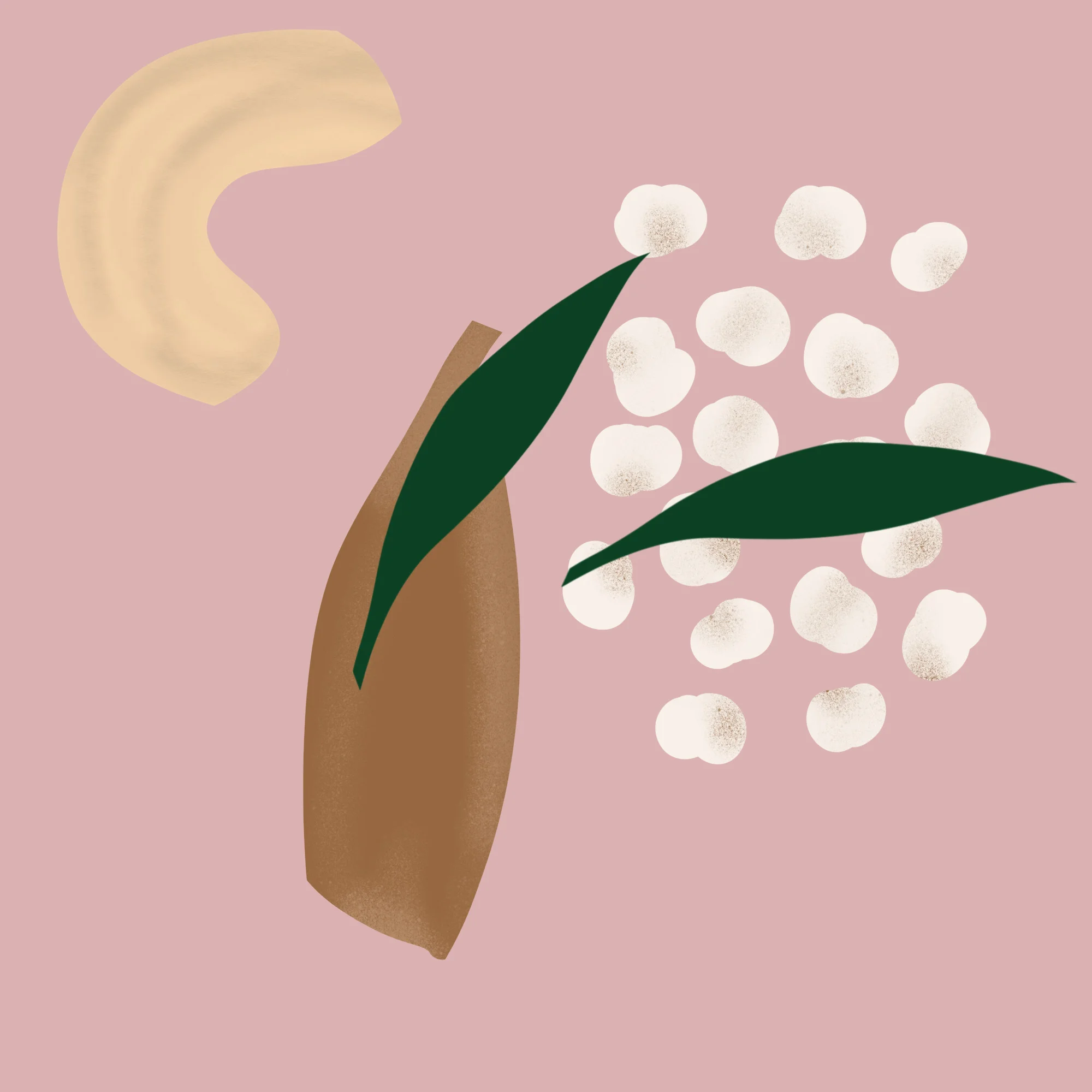 Illustrations to show the divers product Milk is made from. For the book “Piepmuis op bezoek bij Anna de Koe”