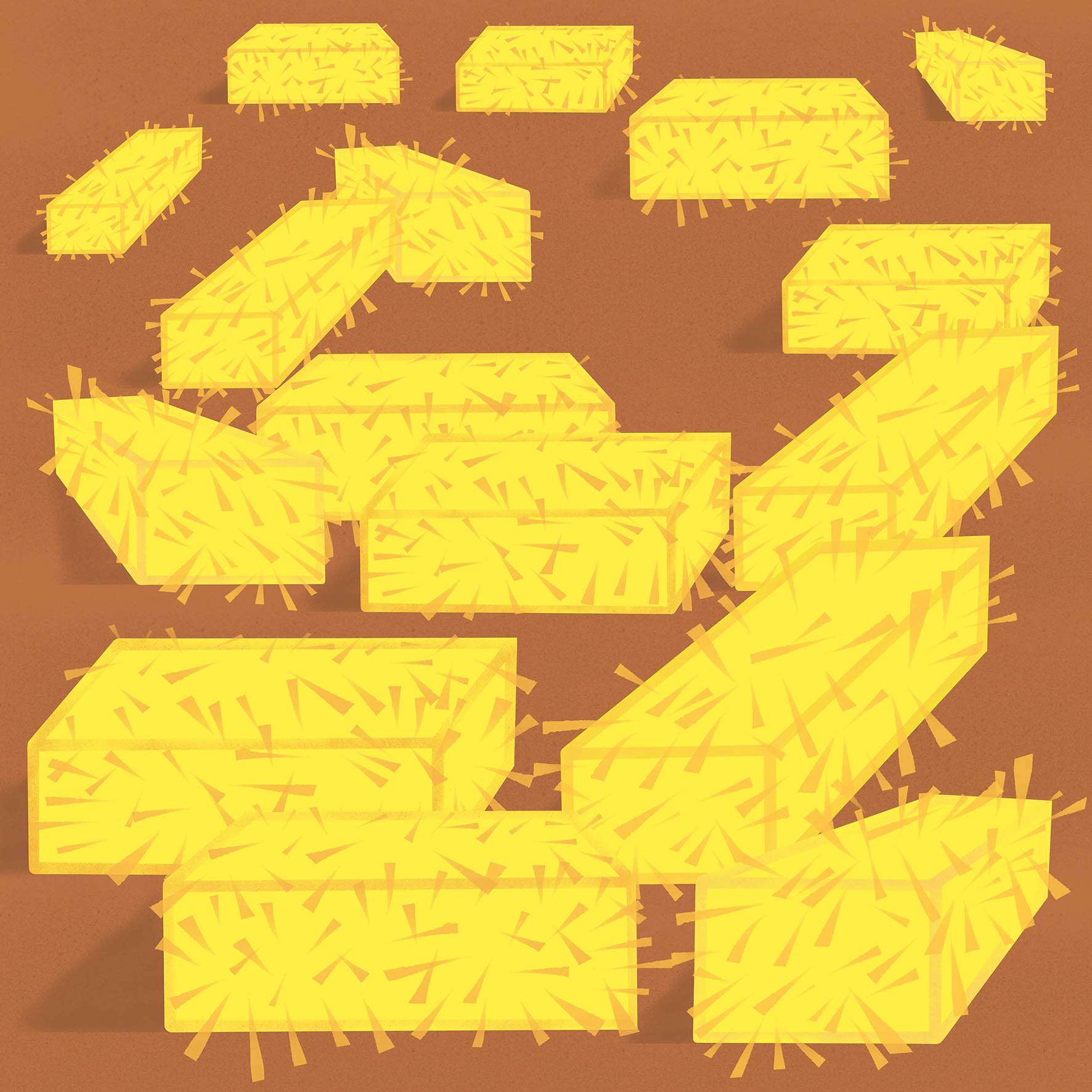 hay.jpg