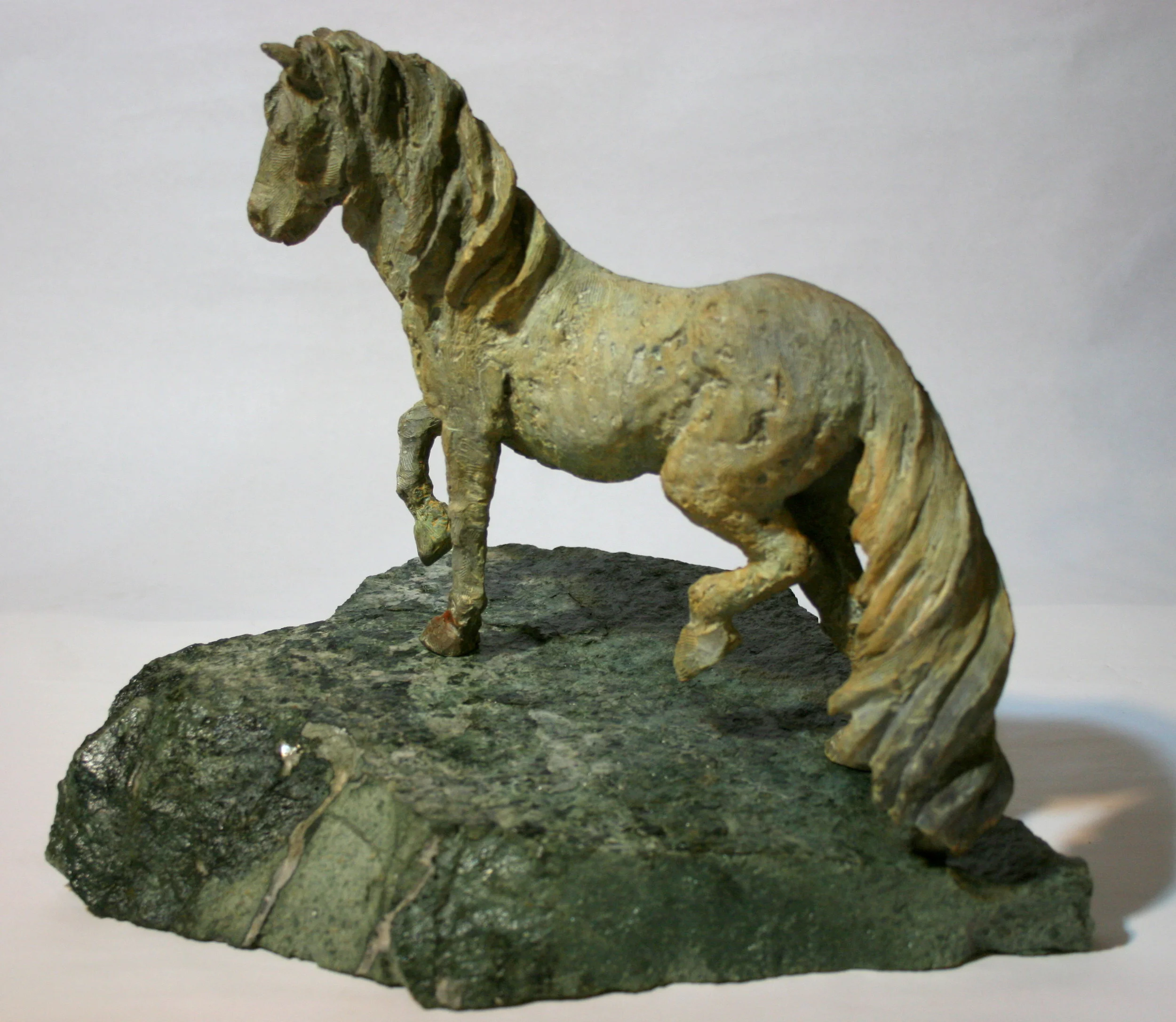 Kaimanawa Horse