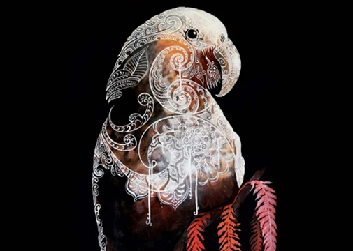 New Exhibition - A Bird On The Wall... Is As Good As Two In The Bush