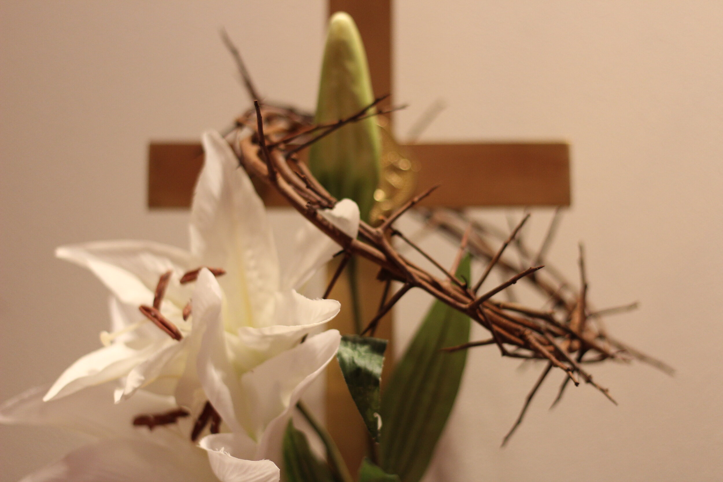 Easter Thorns and Lily.JPG