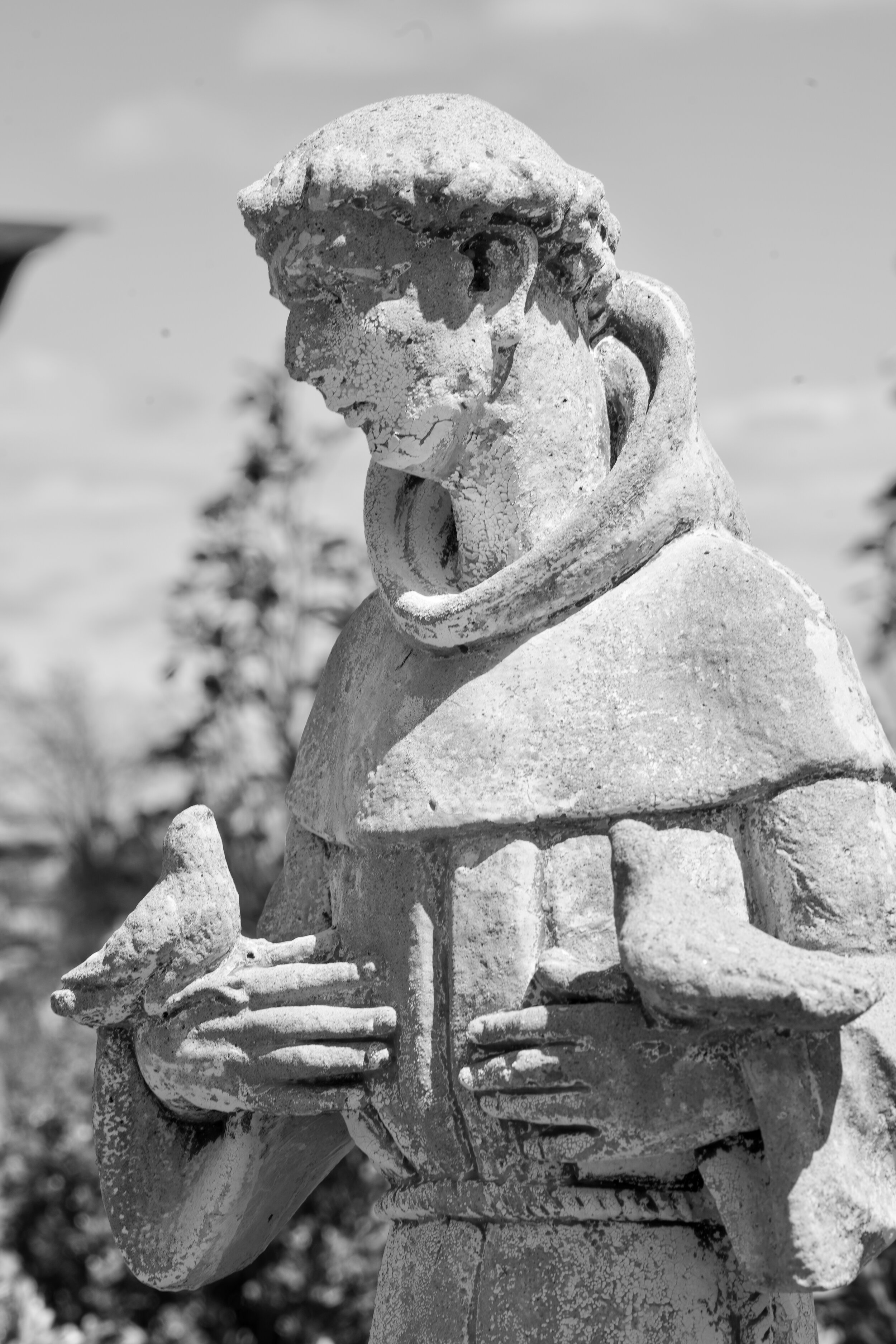Statue 1.jpeg