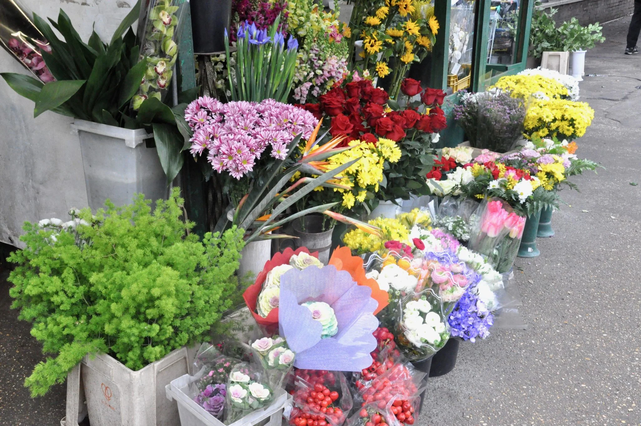 Weekly Favorites 08/02/2017