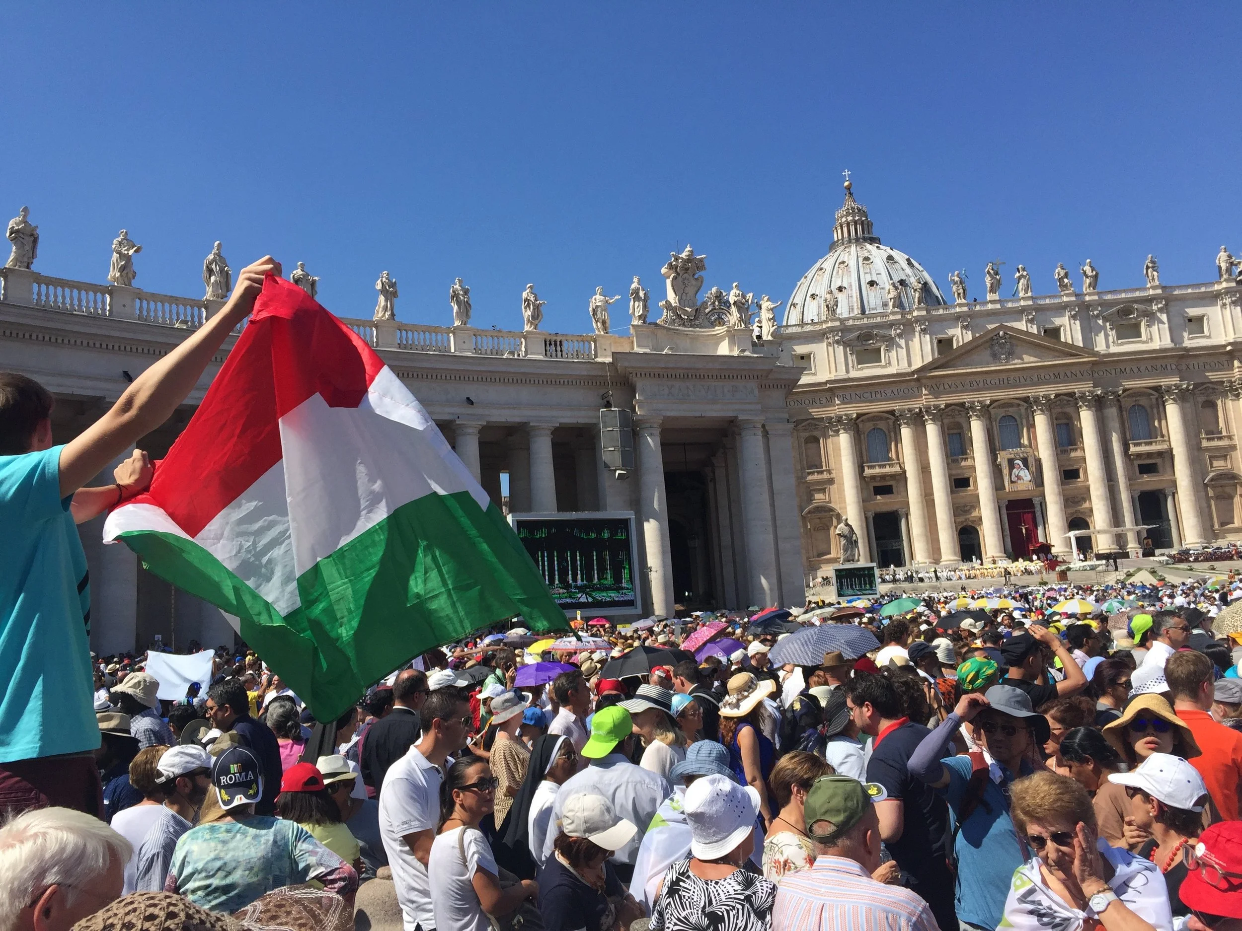 Weekly Favorites 7/9/16