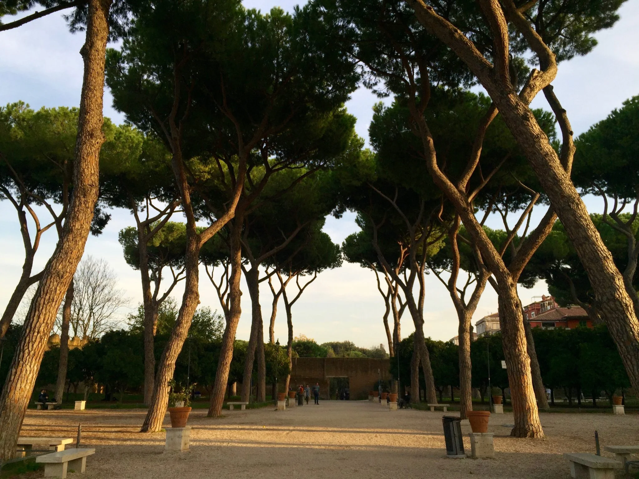 Hidden Spots in Rome: Il Giardino degli Aranci (Orange Garden)