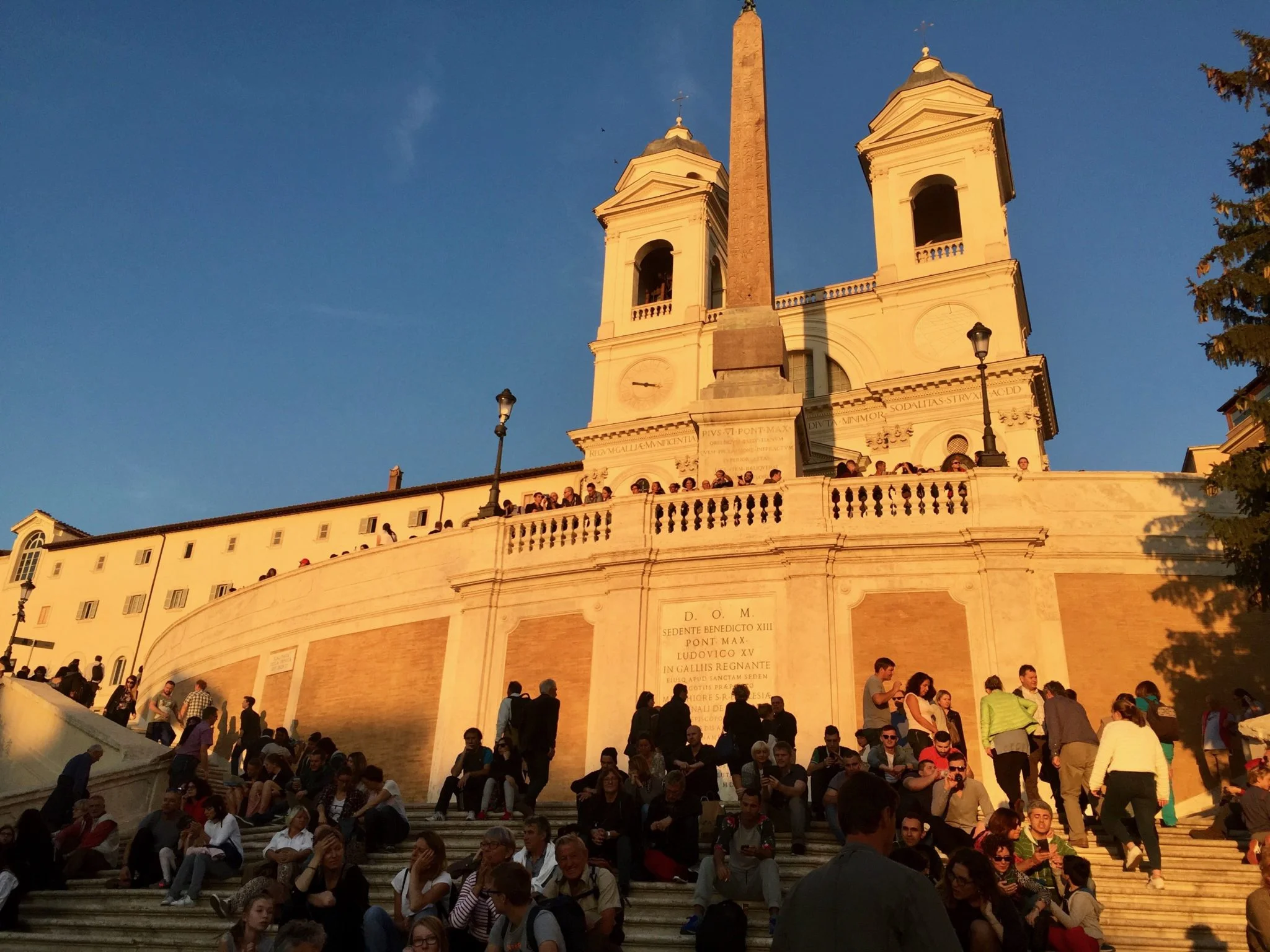 Weekly Favorites 2/11/2016