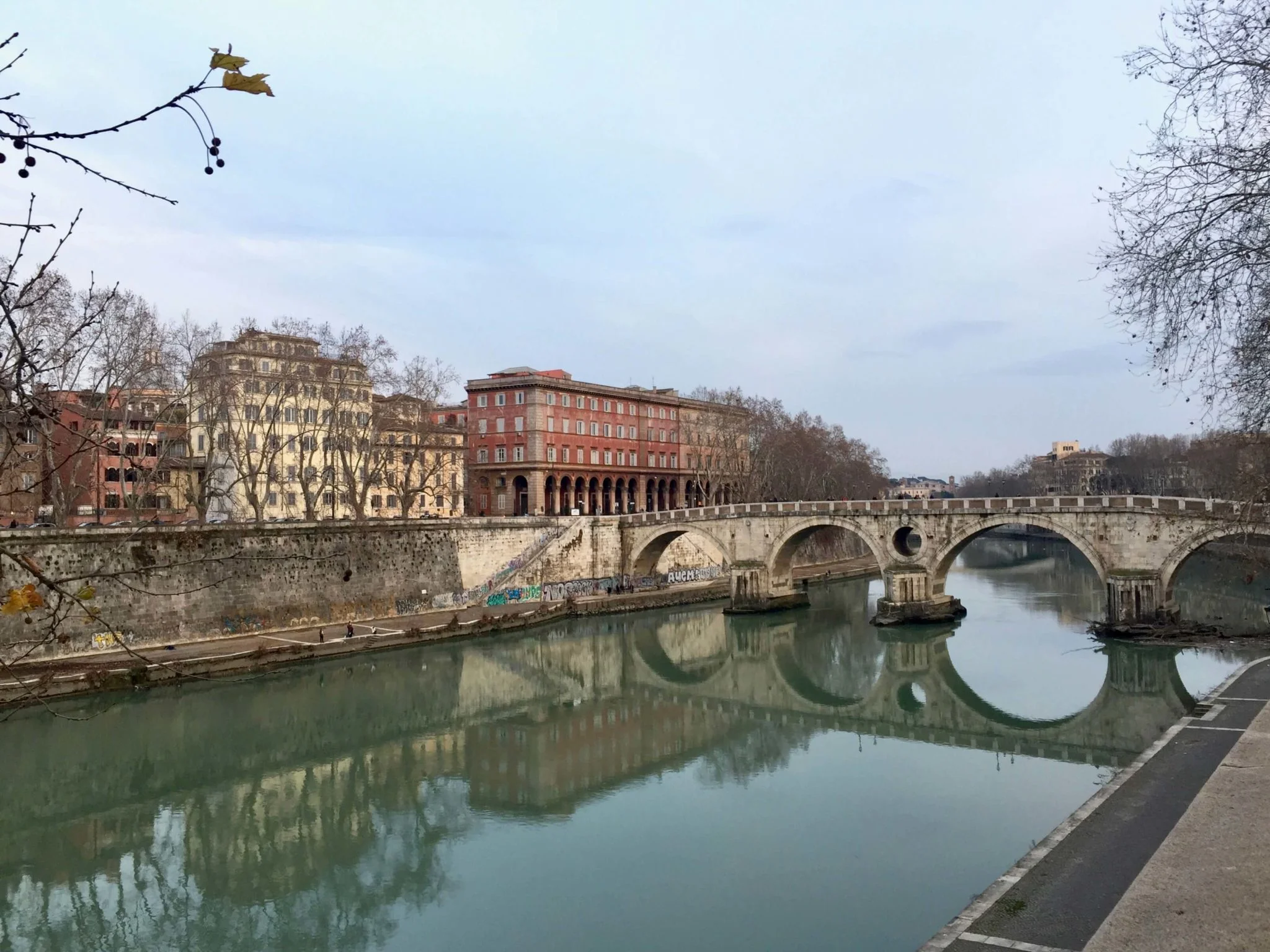 Weekly Favorites 01/02/2017