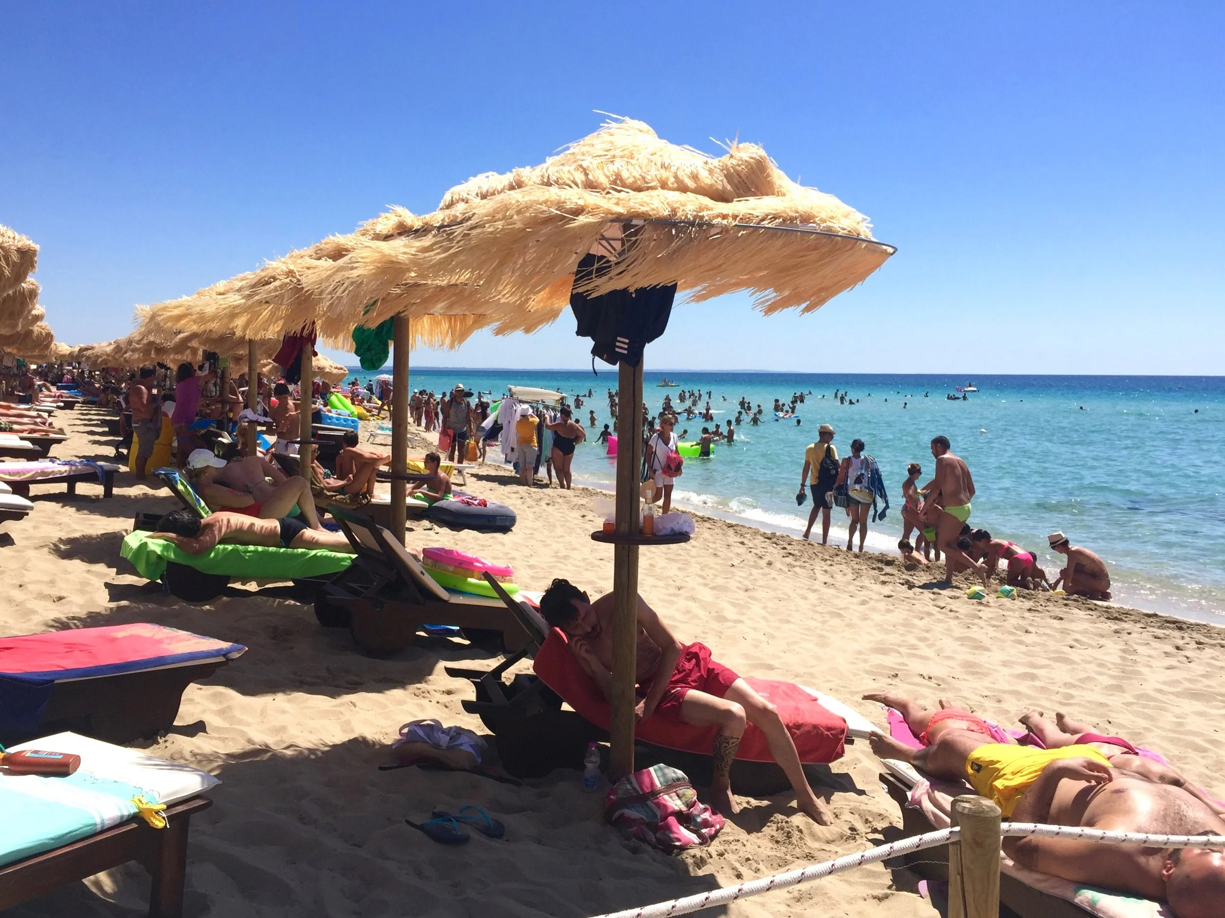 punta prosciutto porto cesareo
