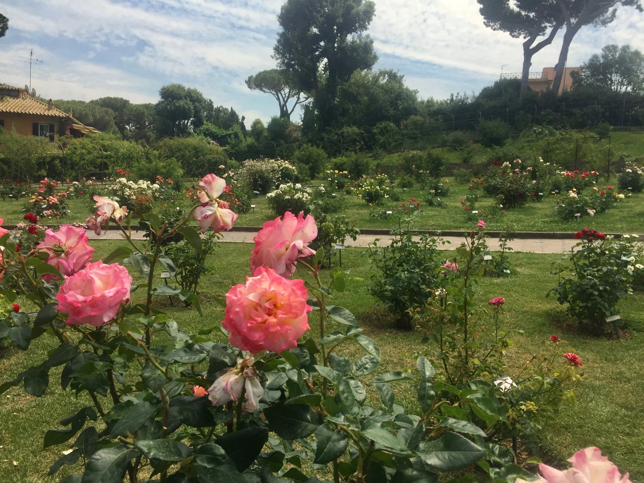 Rose Gardens, Rome