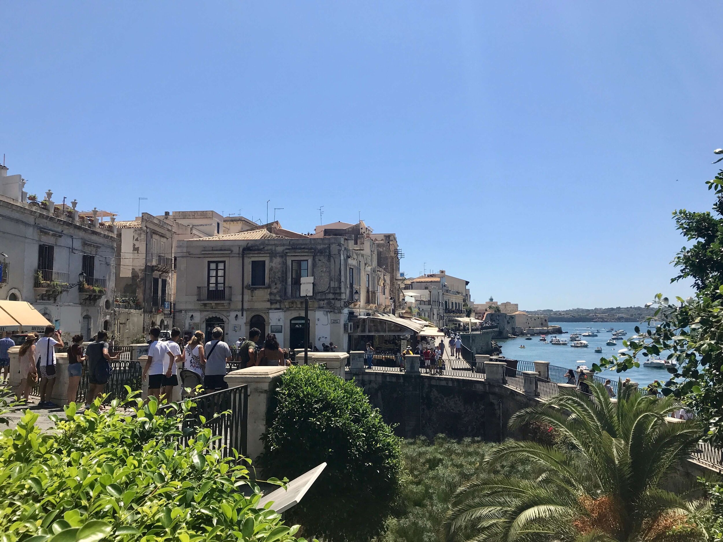 IMG_2637.jpeg