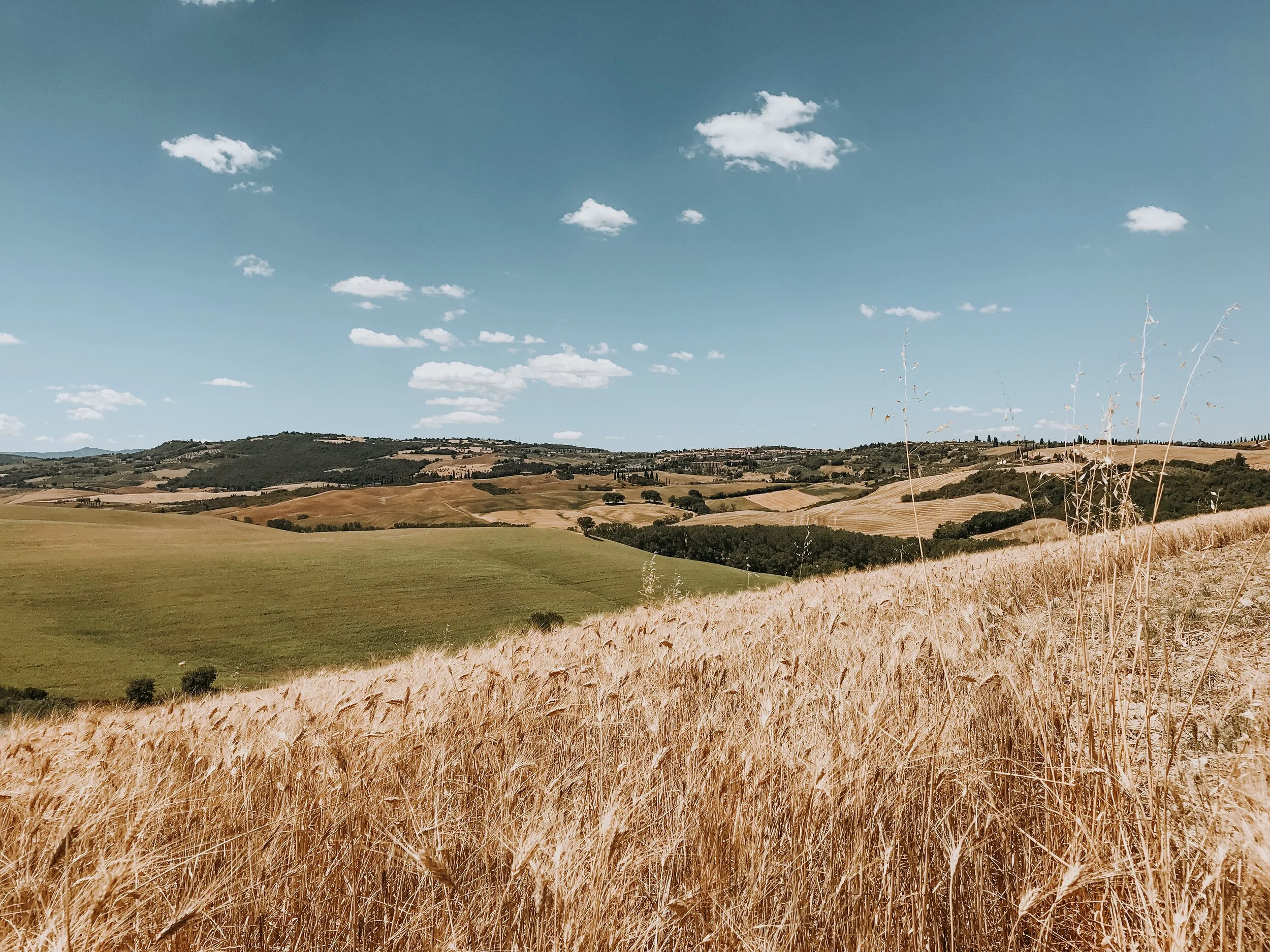 72 Hours in Val d’Orcia (as planned by a professional sommelier)