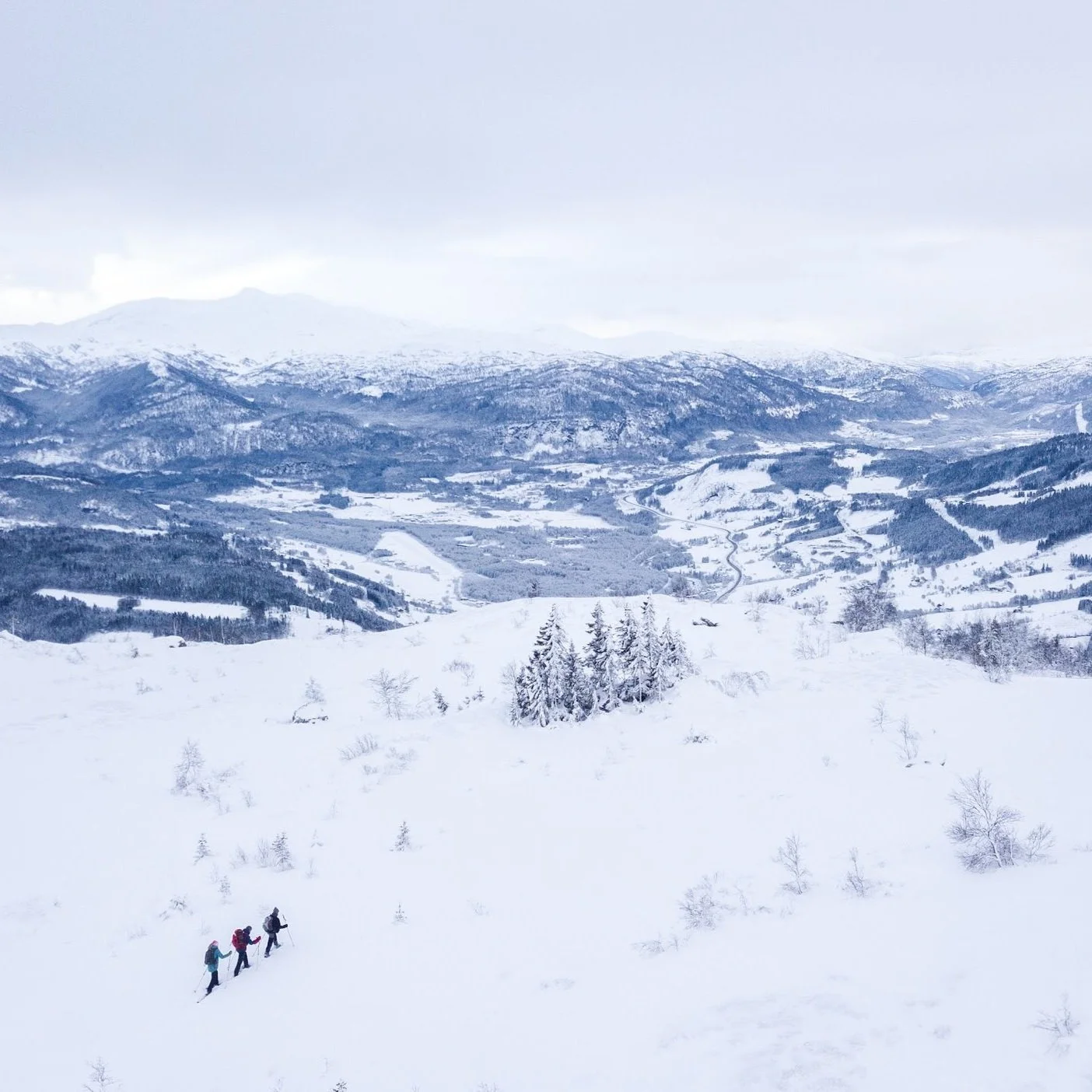 Cross Country Skiing vs. Snowshoeing Which Winter Adventure Suits You
