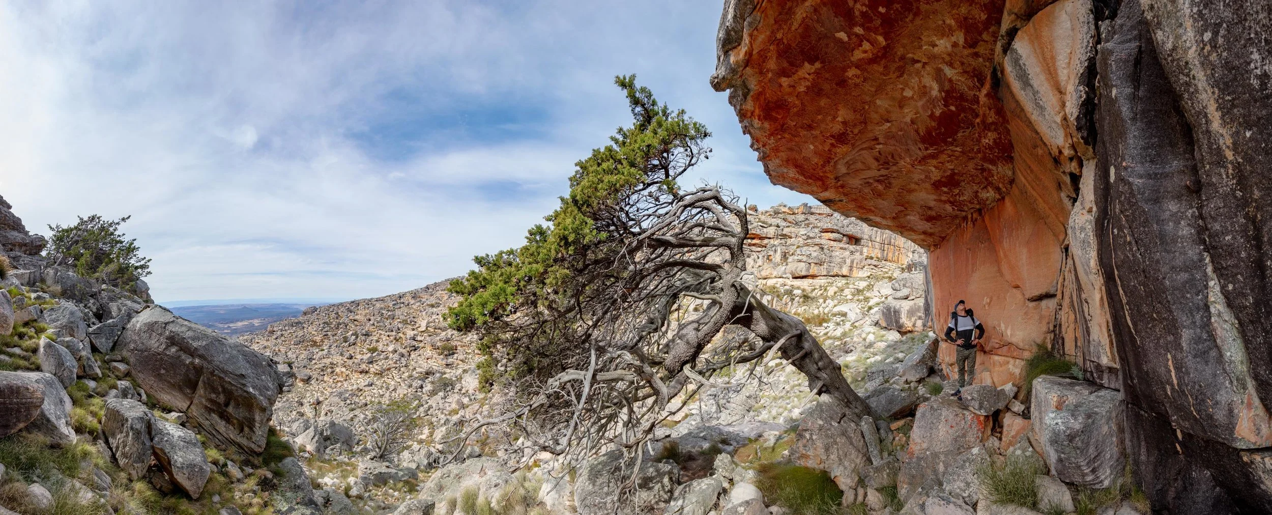 _K3A0596-Pano.jpg