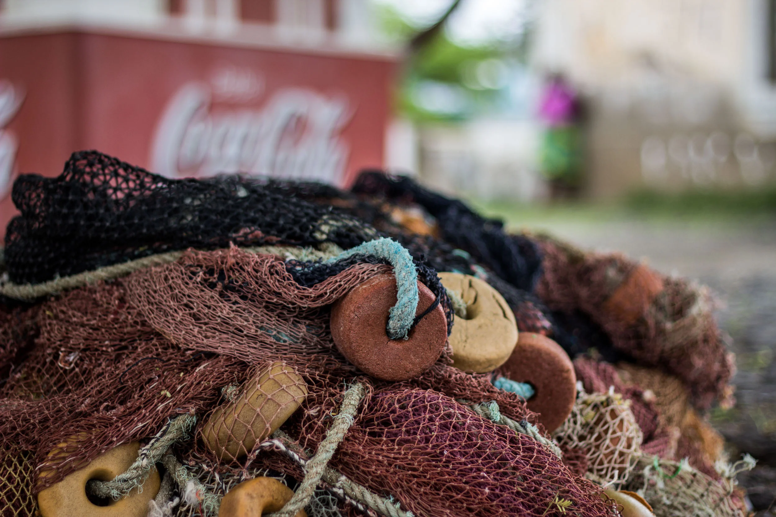 _MG_3039_Cape_Verde_©SPEX.jpg