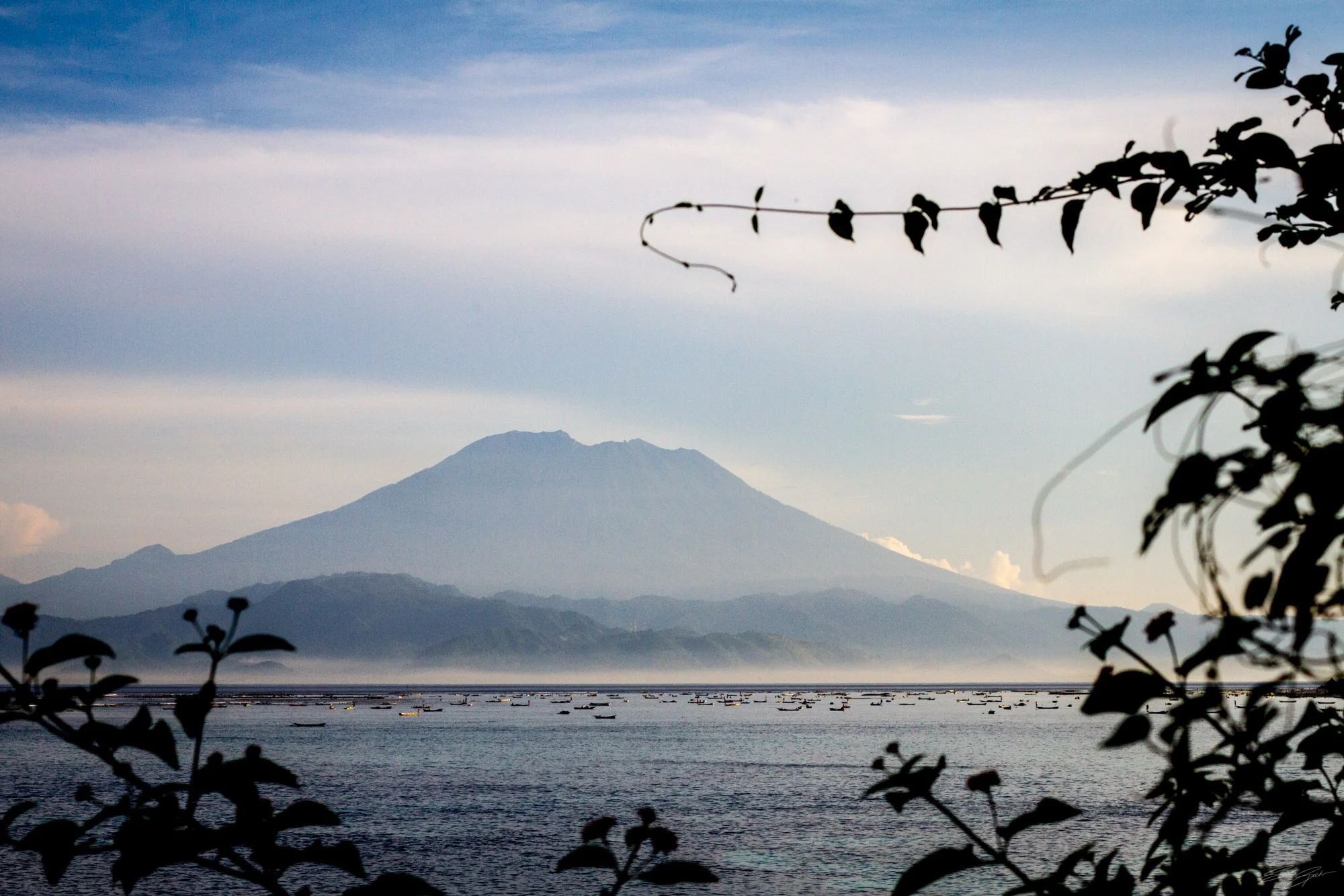 _MG_4633_Lembongan20110325©SPEX.jpg