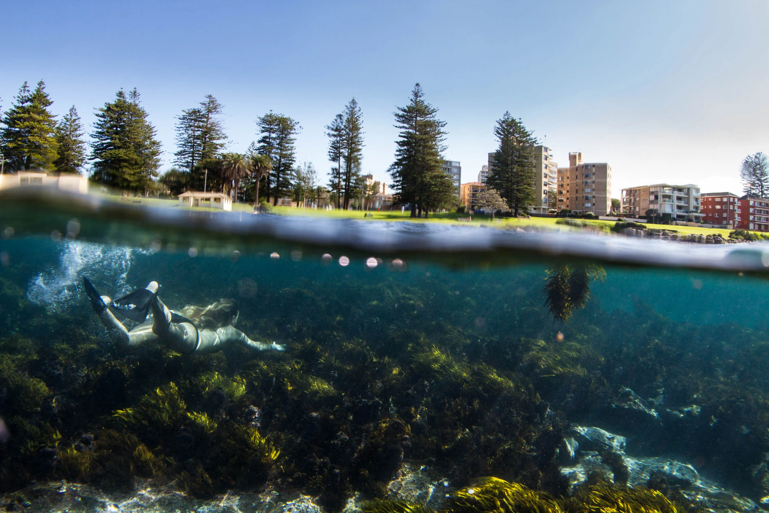 Ayesh_Under-Over_Cronulla__MG_9841_©Sacha_Specker.jpg