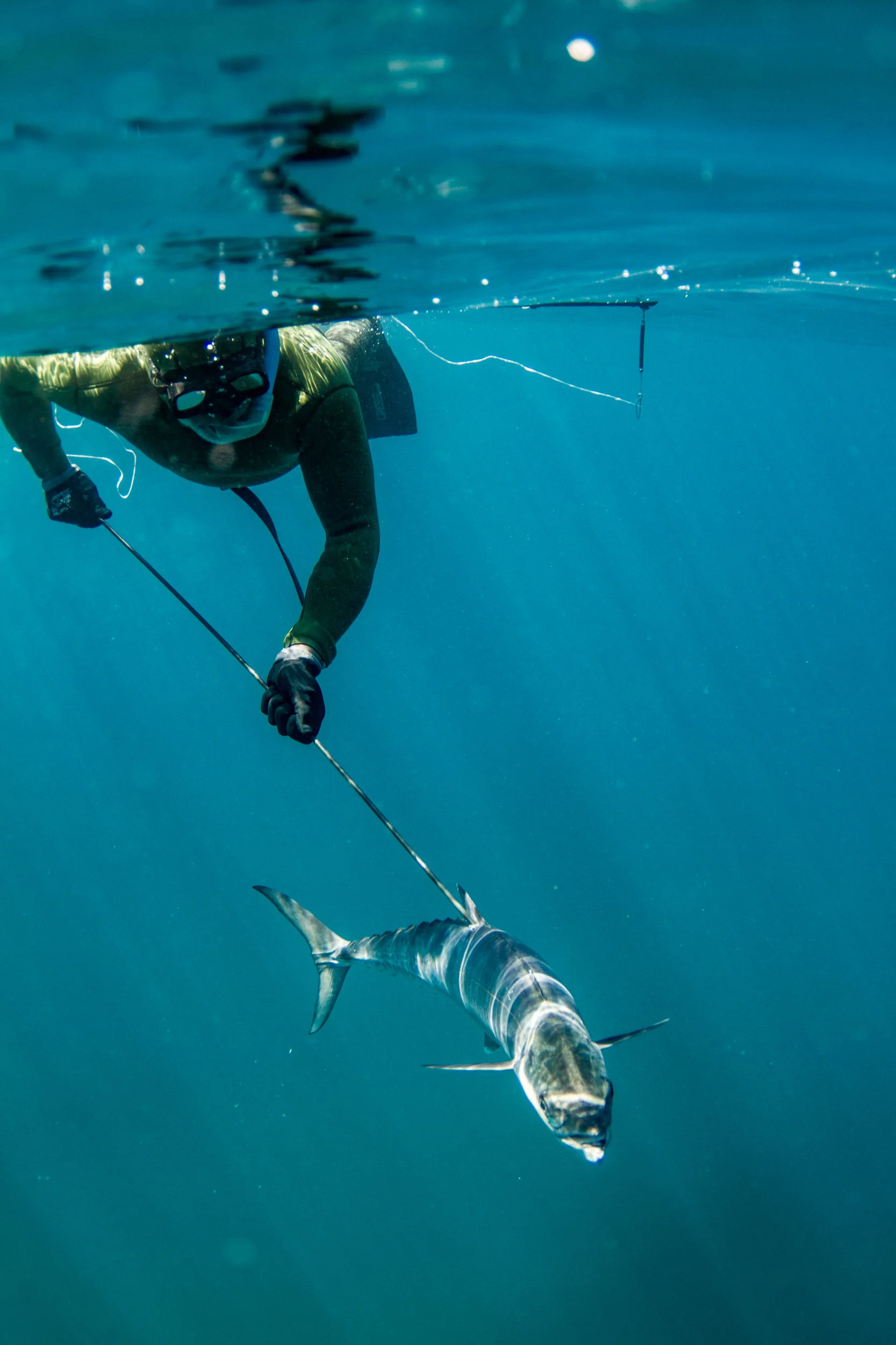 IMG_8347Cape_Vidal_Spearfishing_Billy_McCarthy_Cuda_Oros_100923©SPEX.jpg