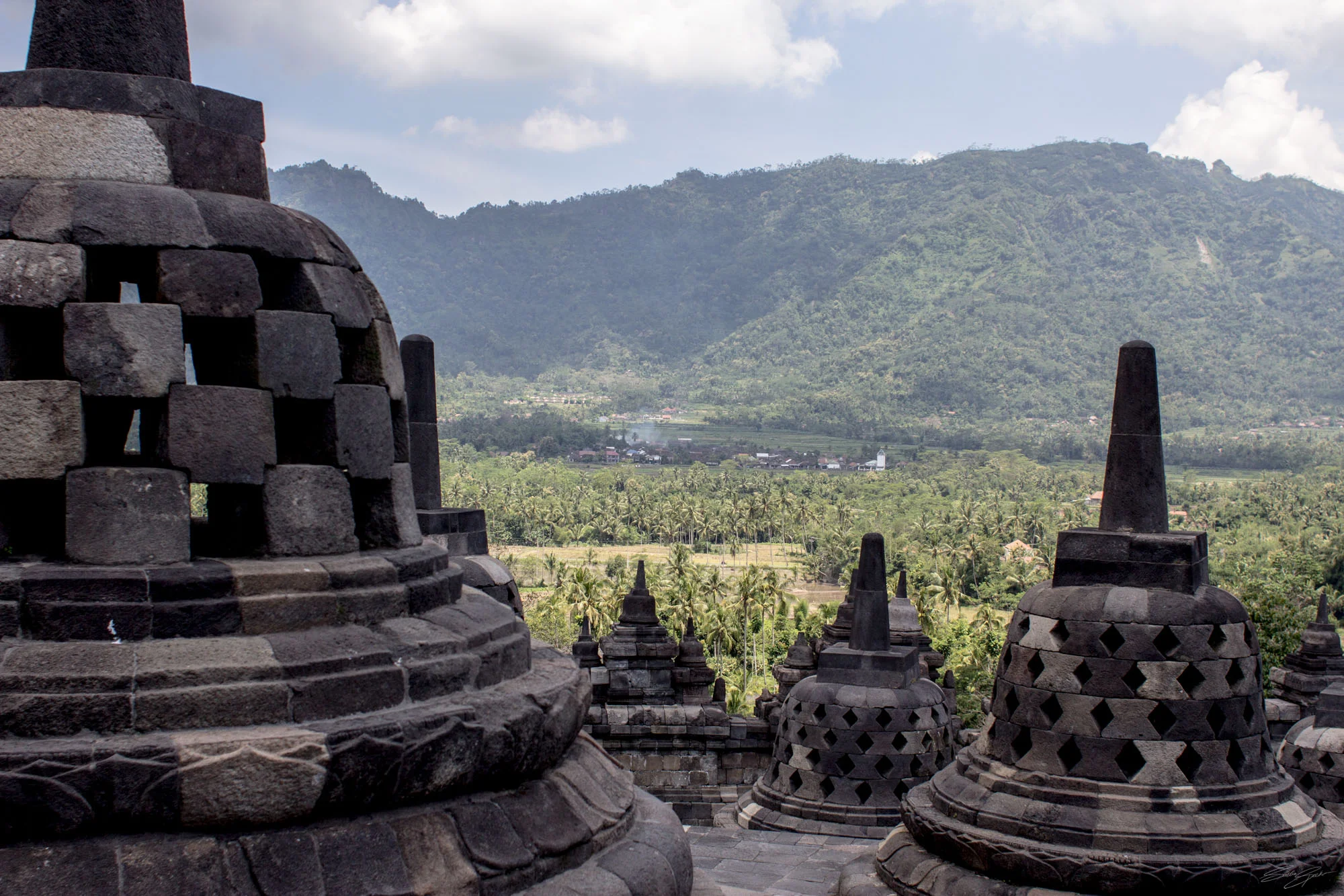 Java_MG_7897_©SPEX.jpg
