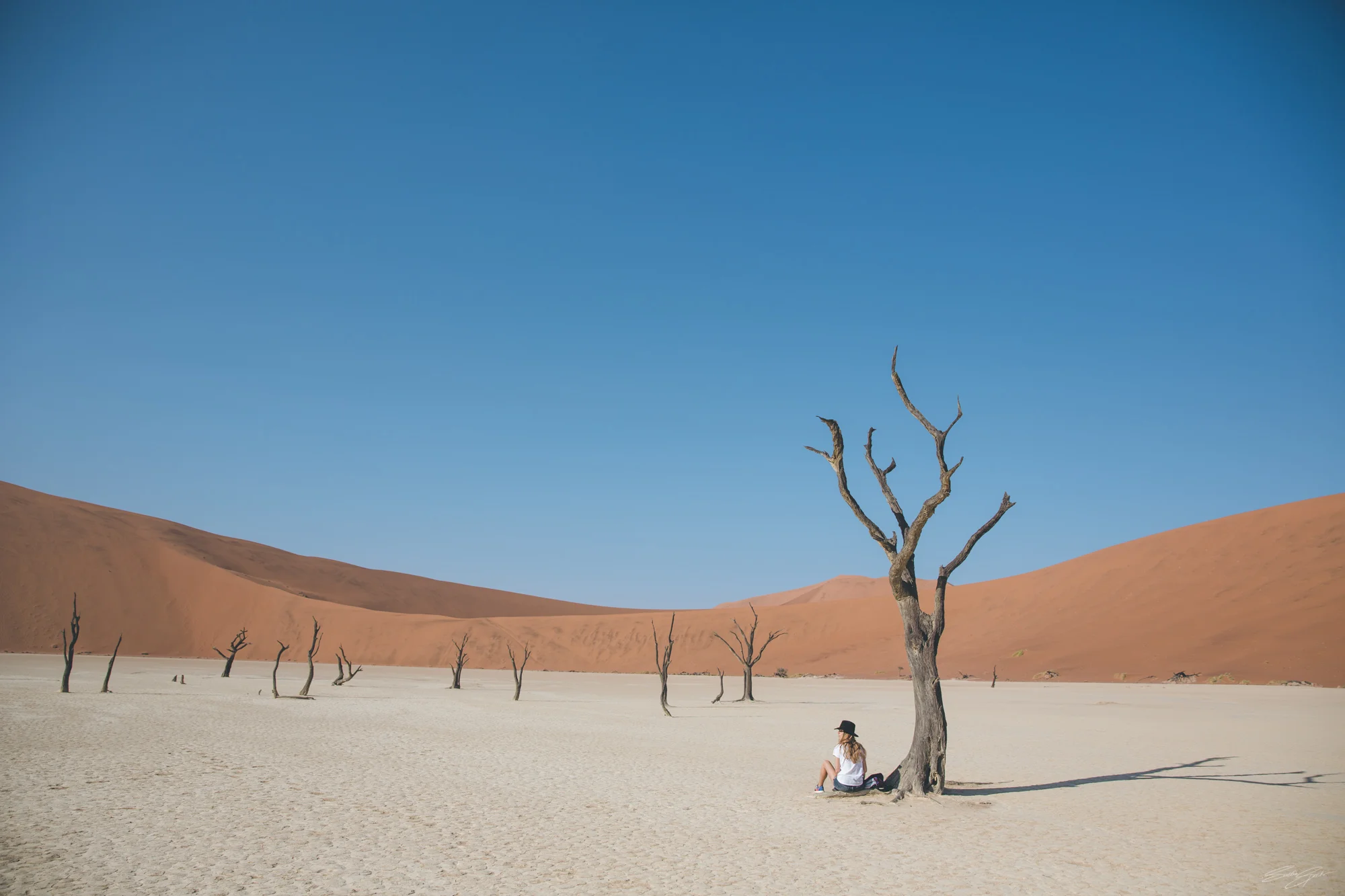 Namibia_B18A8298_©Sacha_Specker.jpg