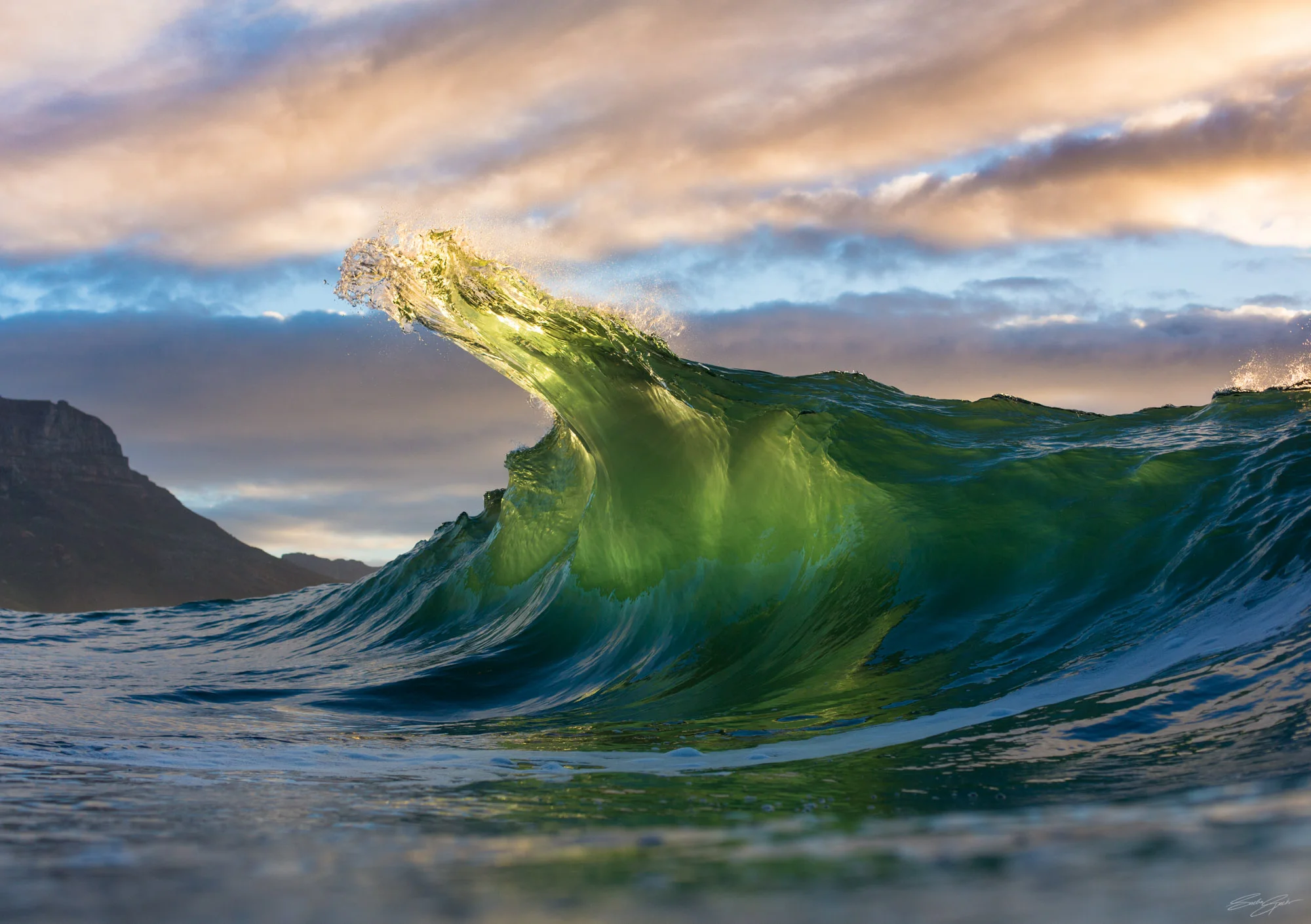 Green_Lurch_B18A9764_©Sacha_Specker.jpg