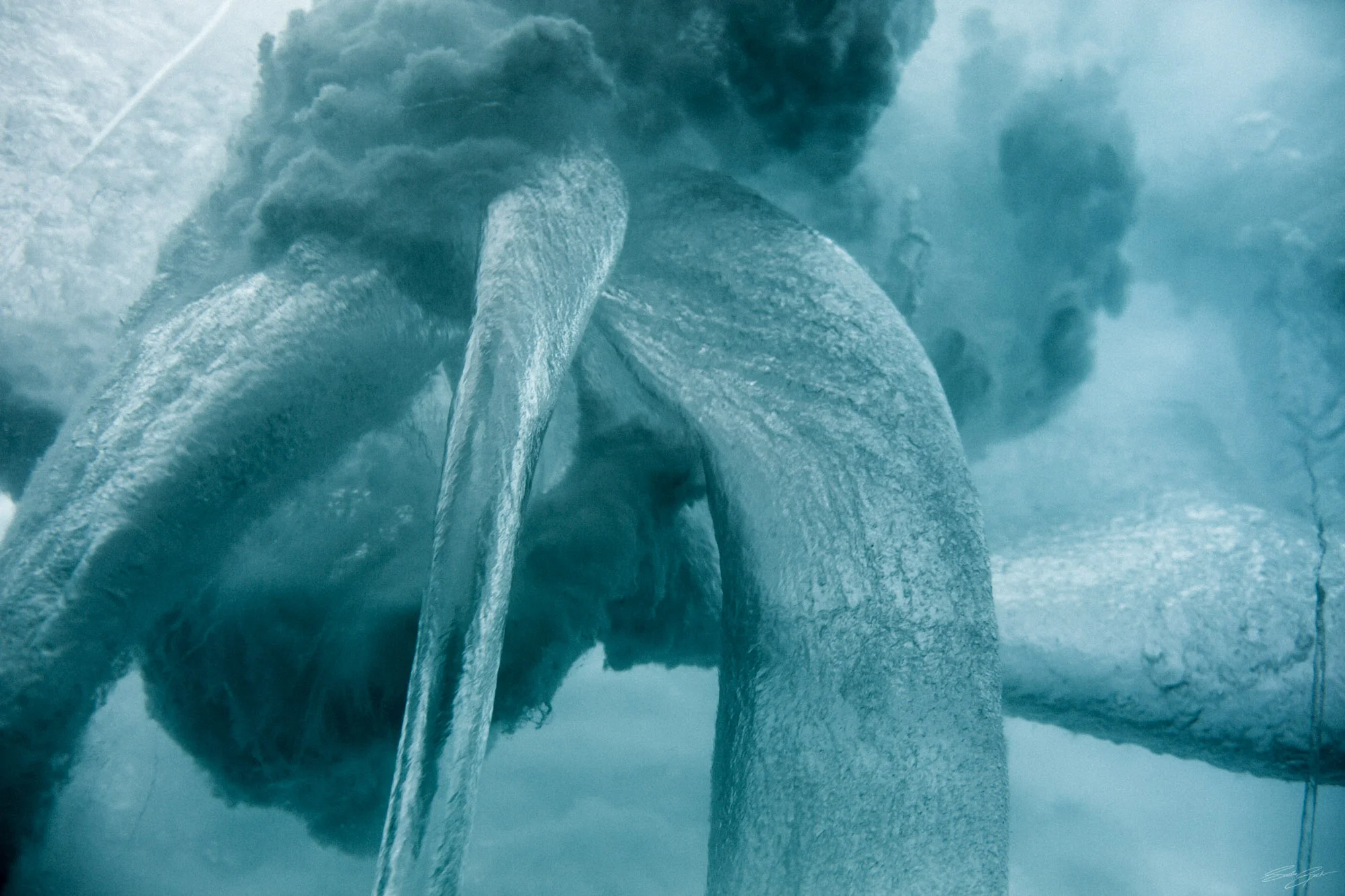 Vortex_B18A8654_©Sacha_Specker.jpg