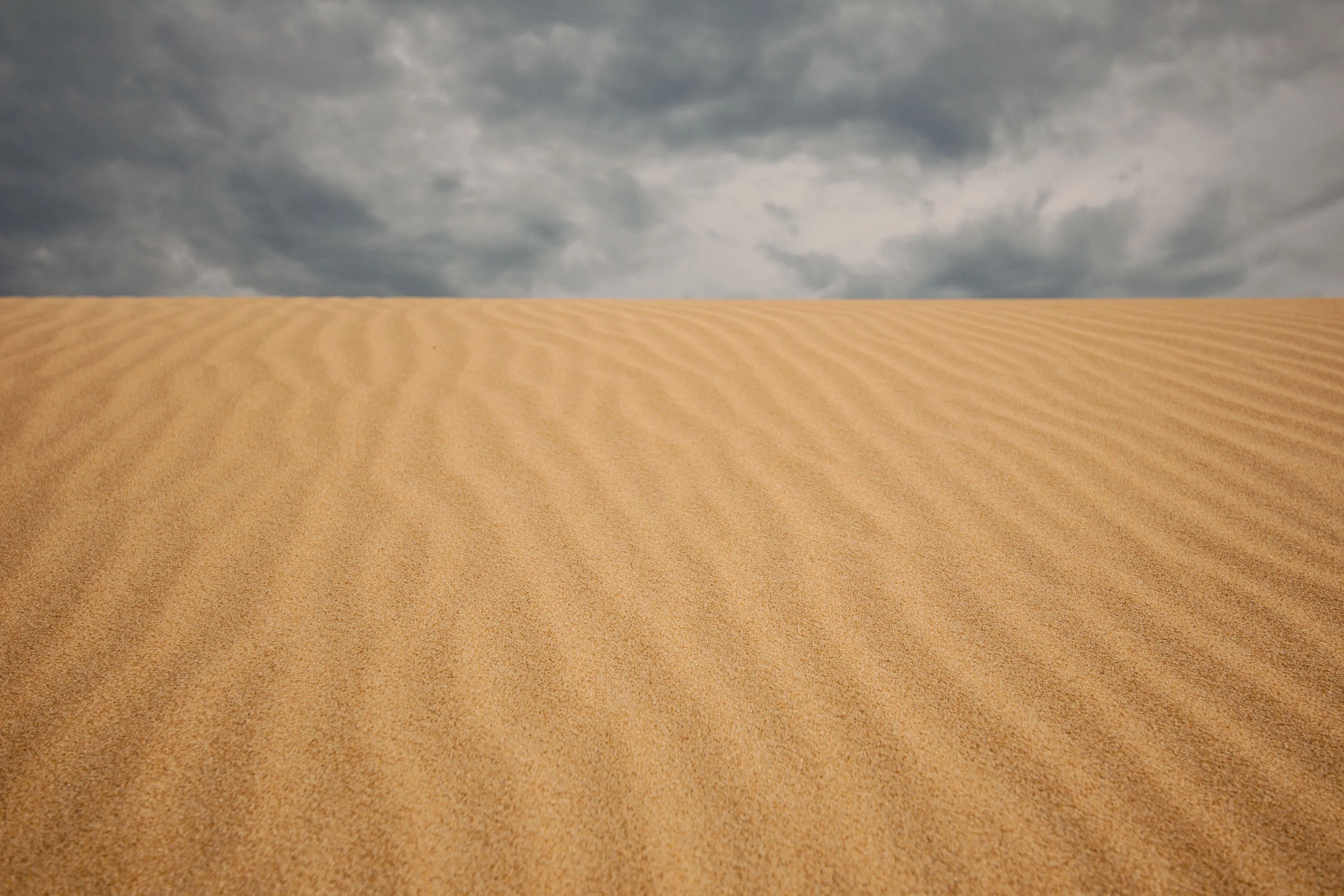 Dune@&Sky_IMG_8527_©SPEX.jpg