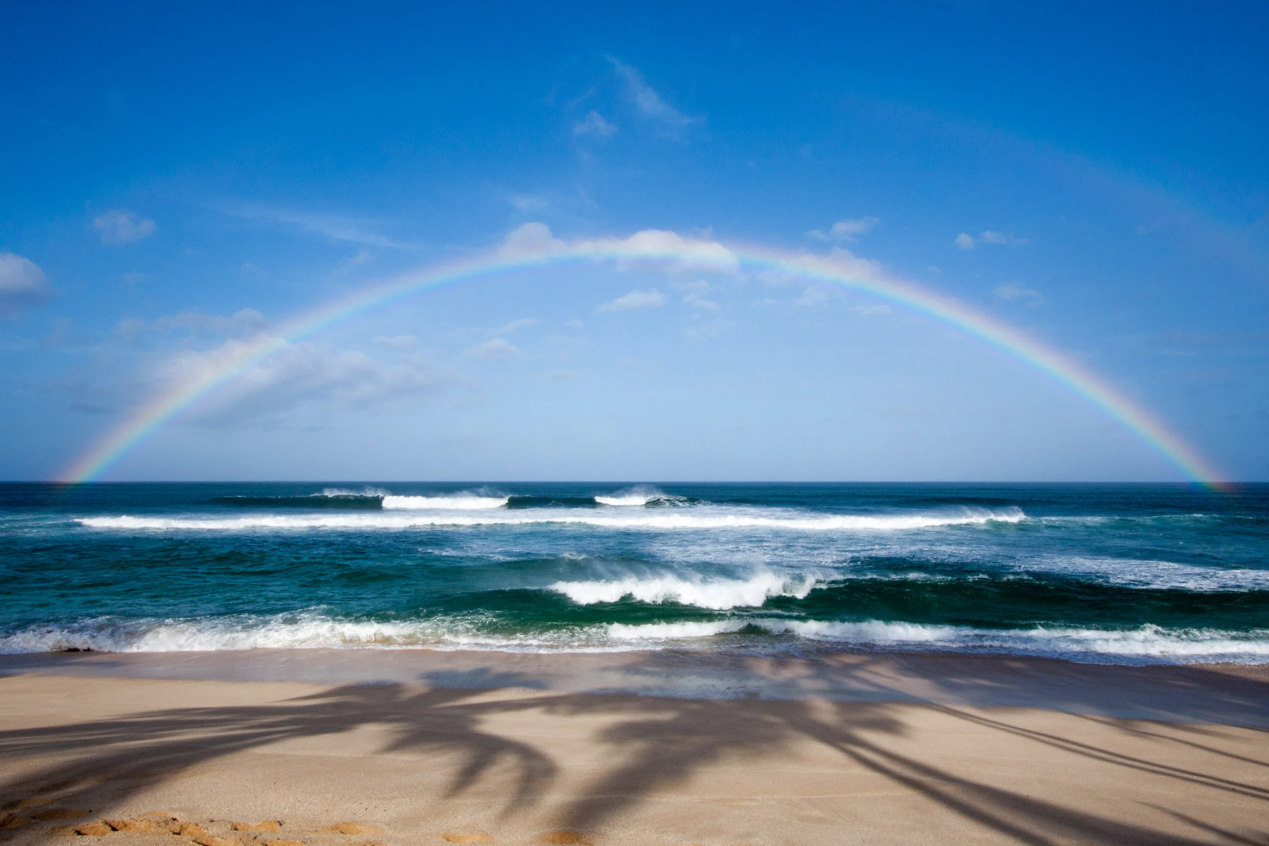 Hawaiian_Rainbow_IMG_0876_©SPEX.jpg
