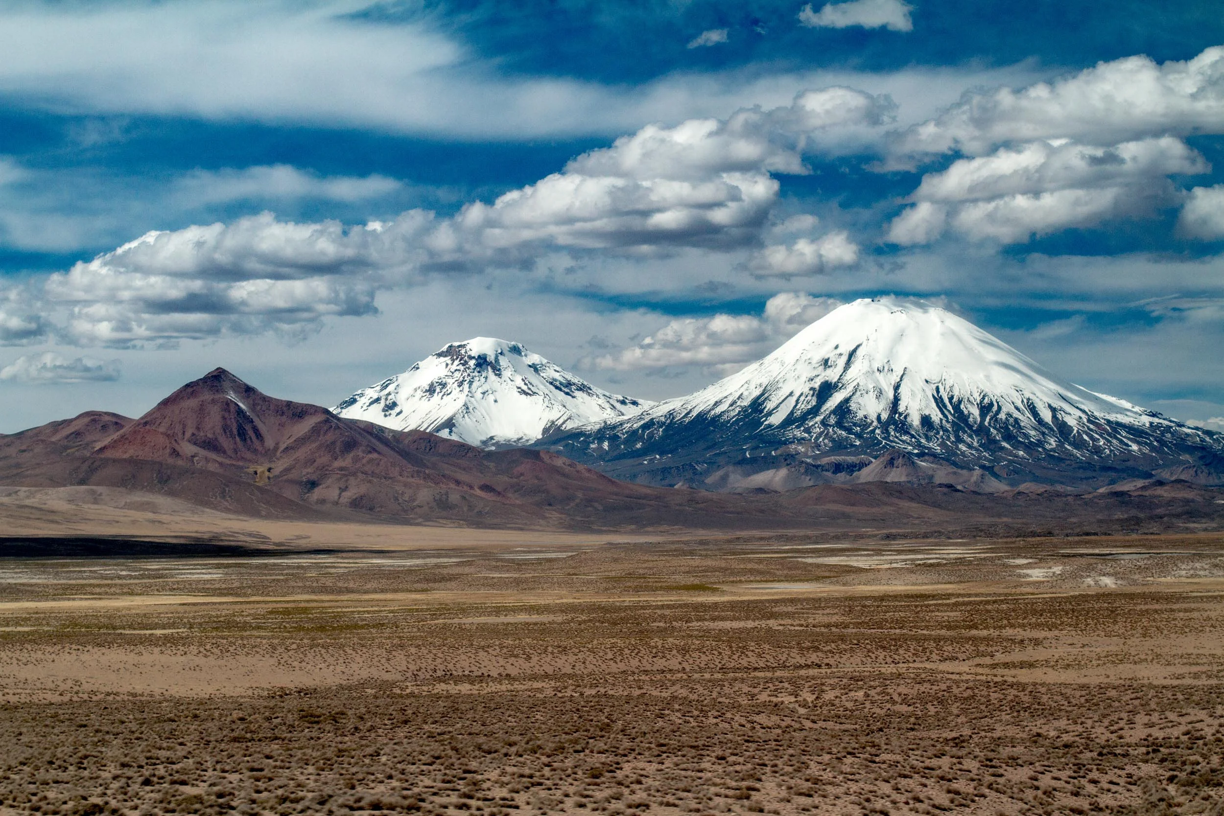 _MG_1844.jpg