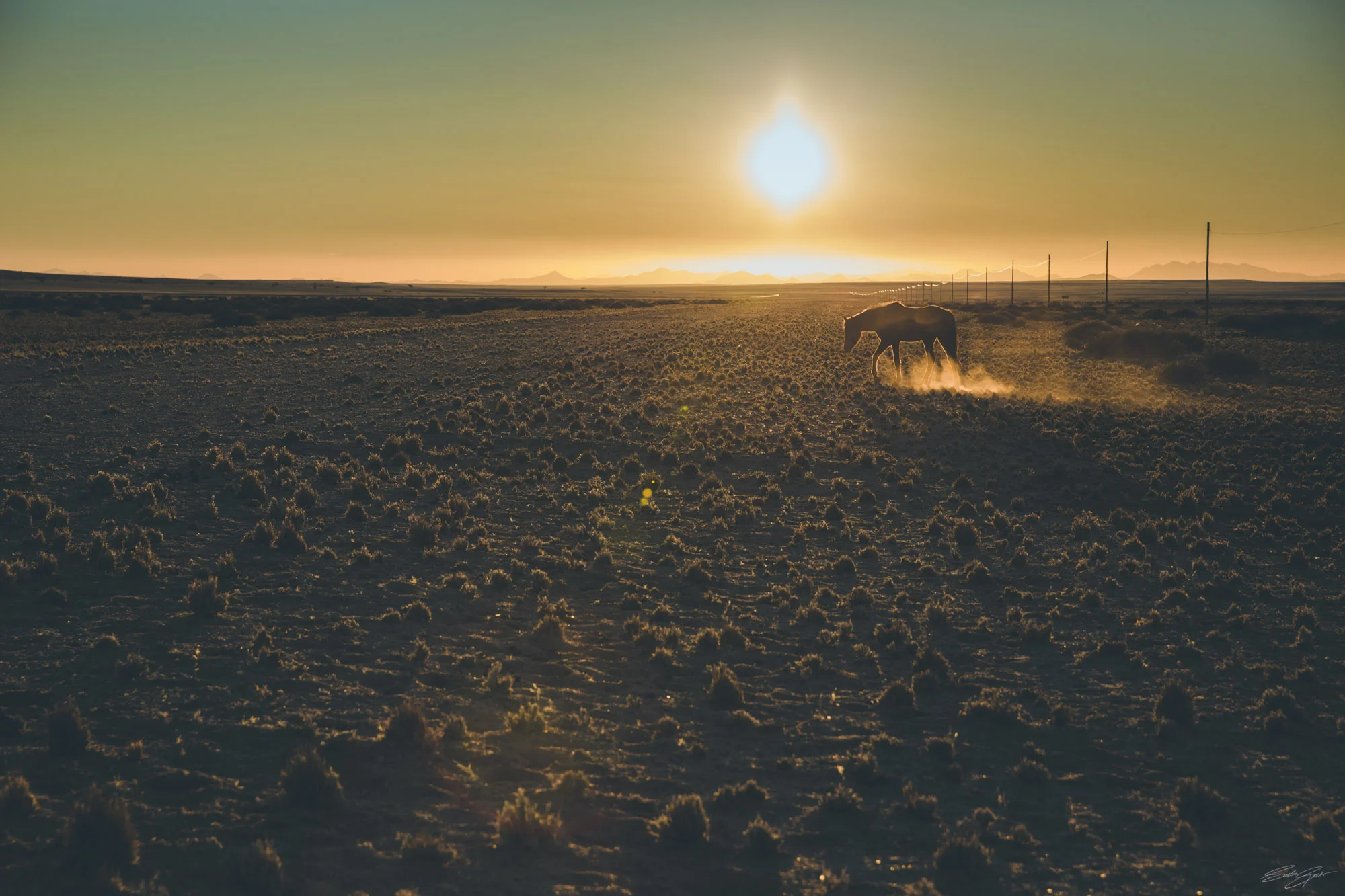 Namibia_B18A7805_©Sacha_Specker.jpg