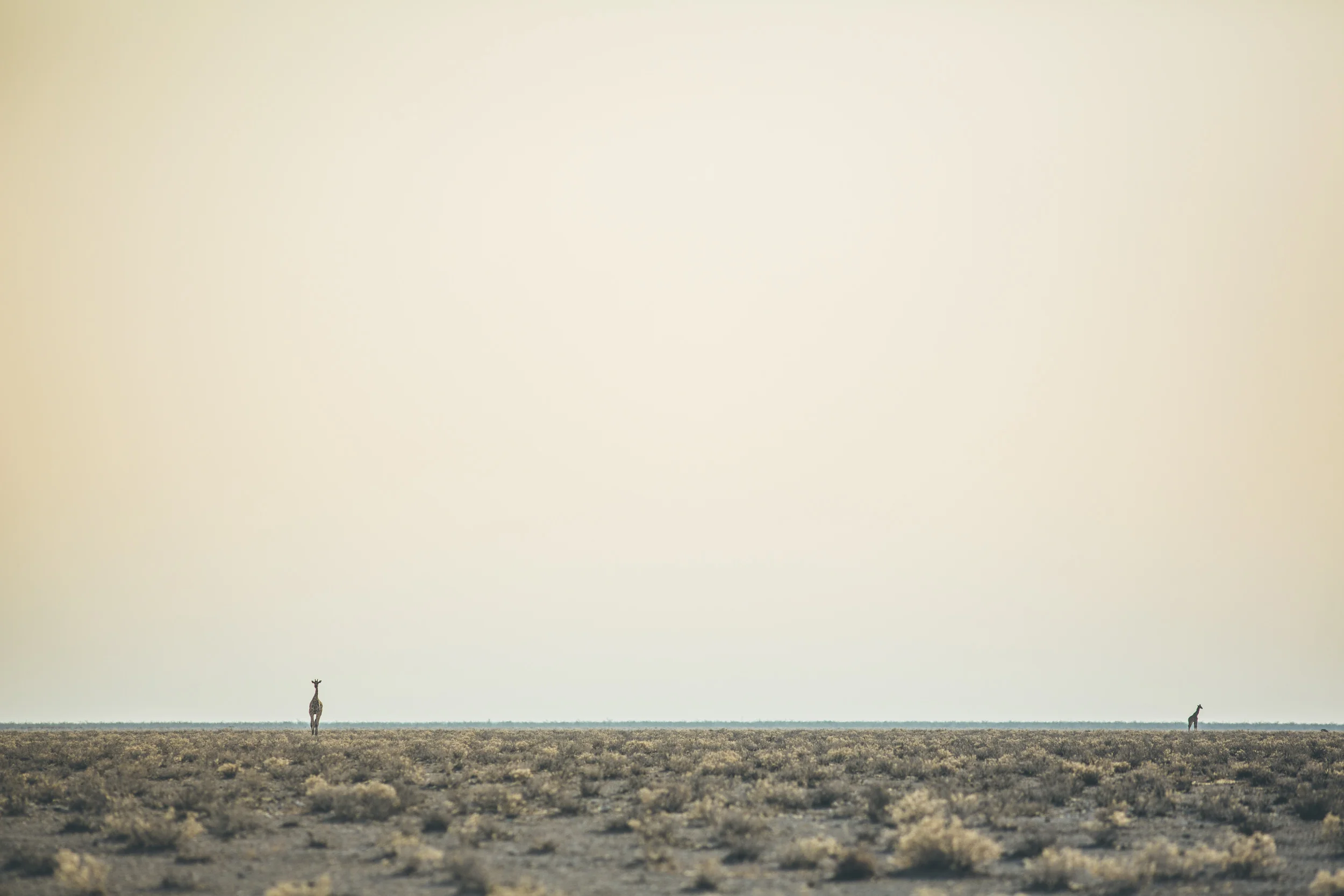 Namibia_B18A8854_©Sacha_Specker.jpg